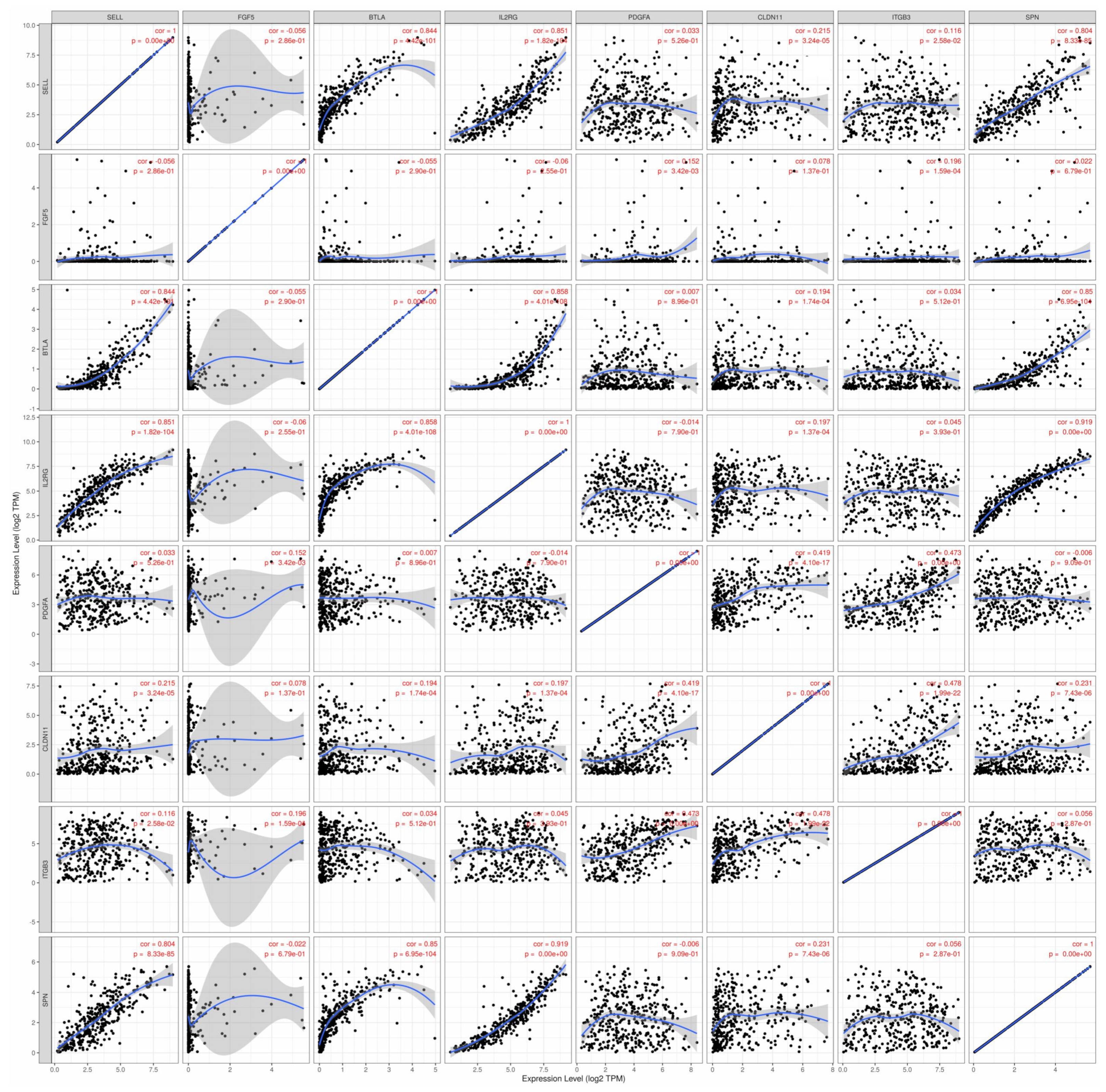 Cancers 17 00148 g008 Cancers 17 00148 g008