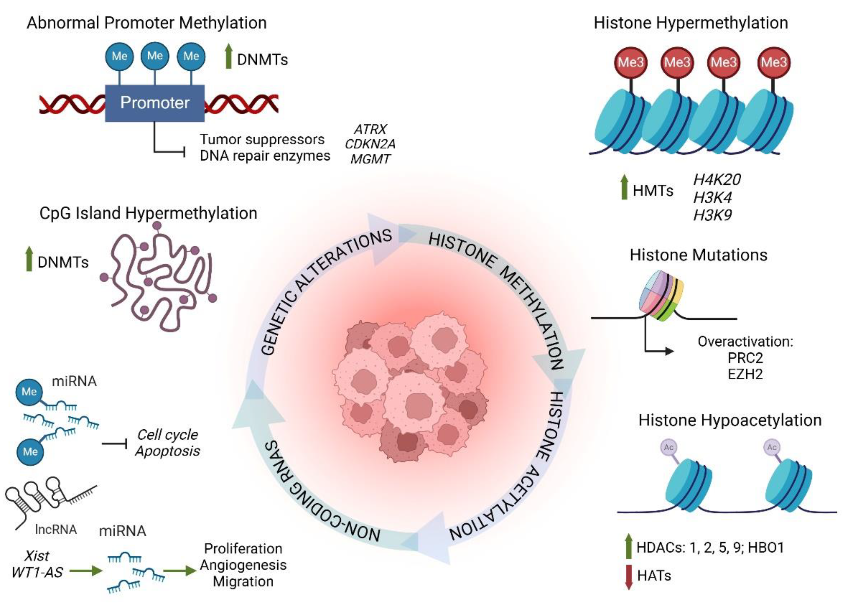 Cancers 17 00154 g003 Cancers 17 00154 g003