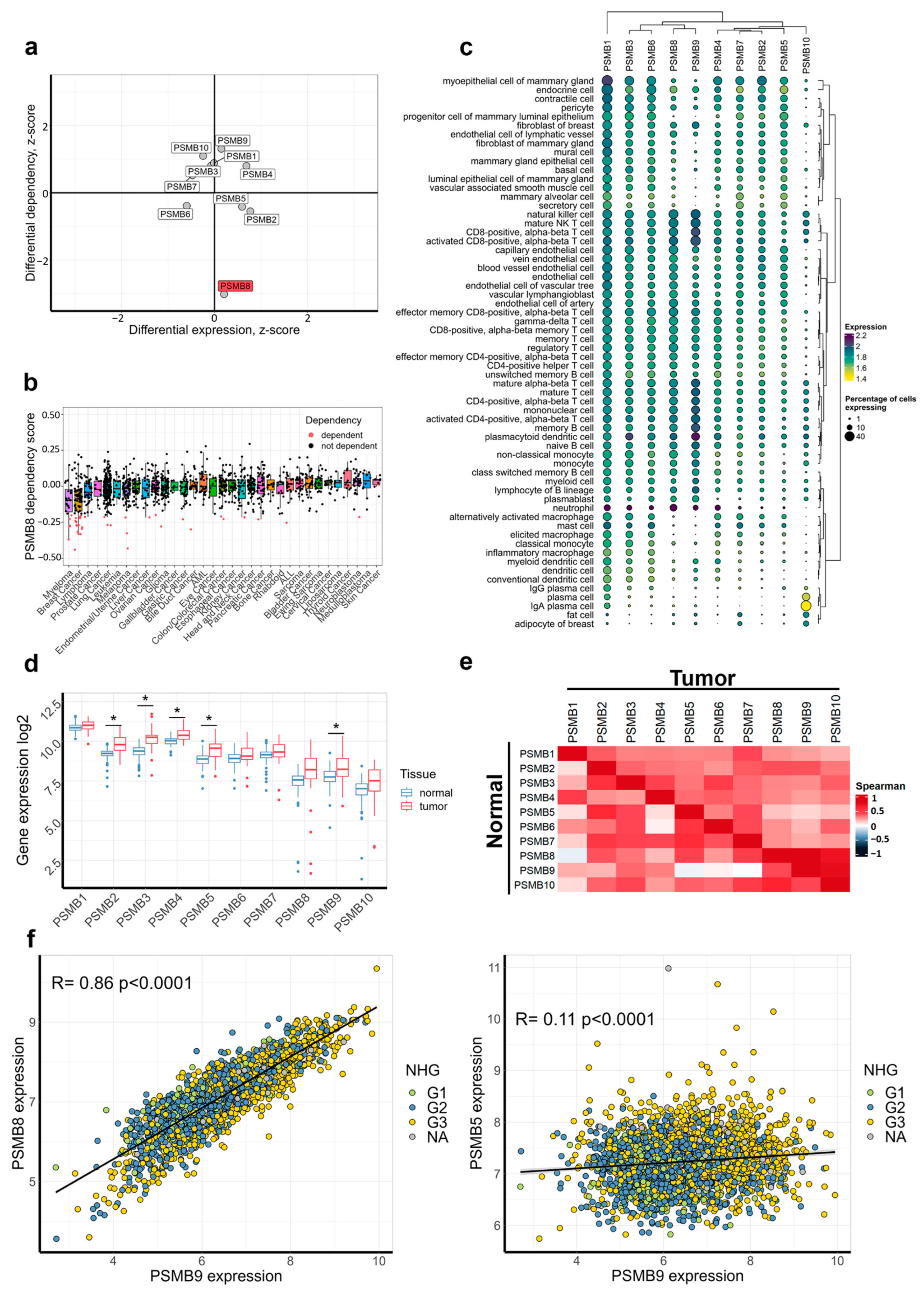 Cancers 17 00159 g001 Cancers 17 00159 g001