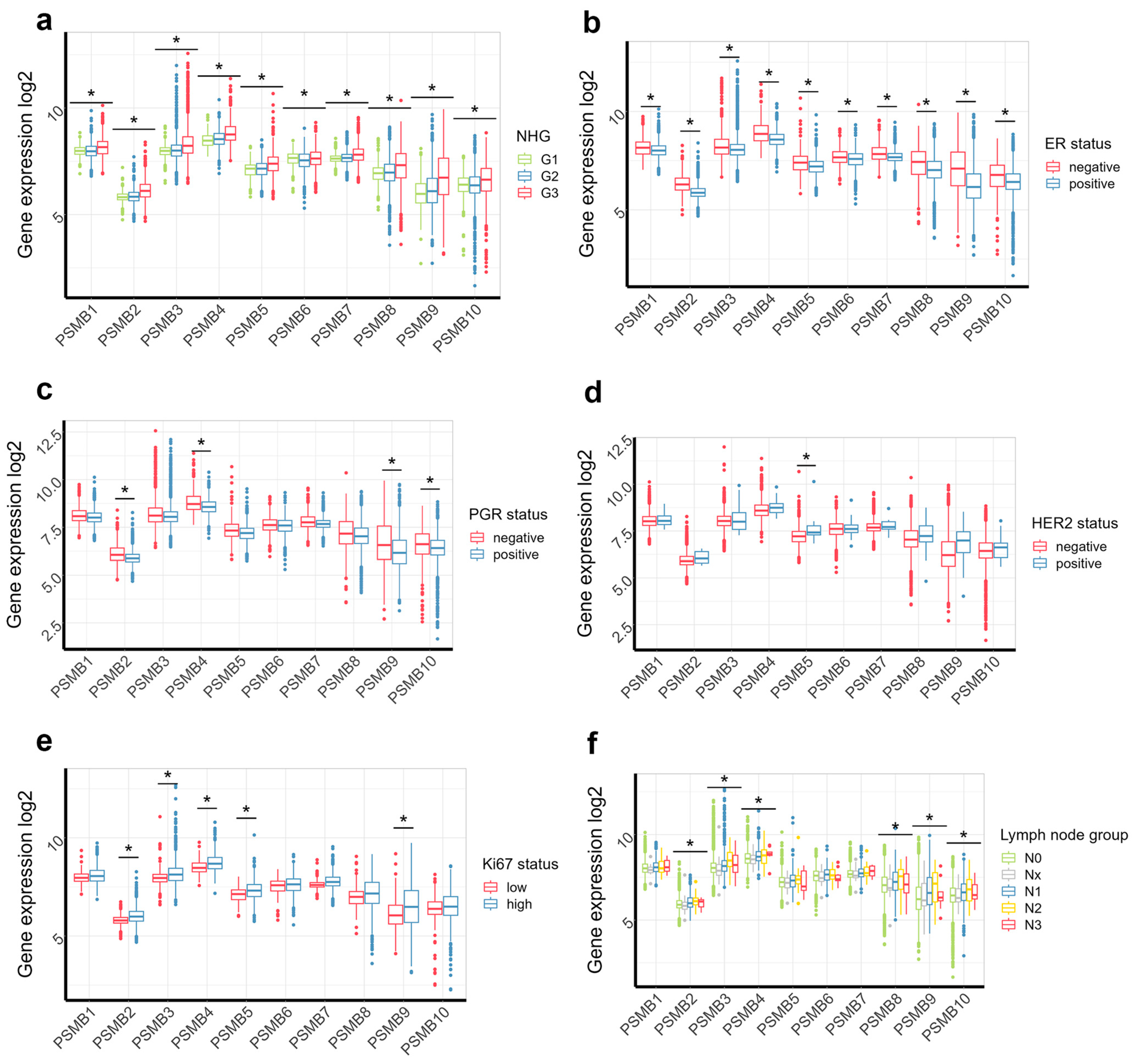 Cancers 17 00159 g002 Cancers 17 00159 g002