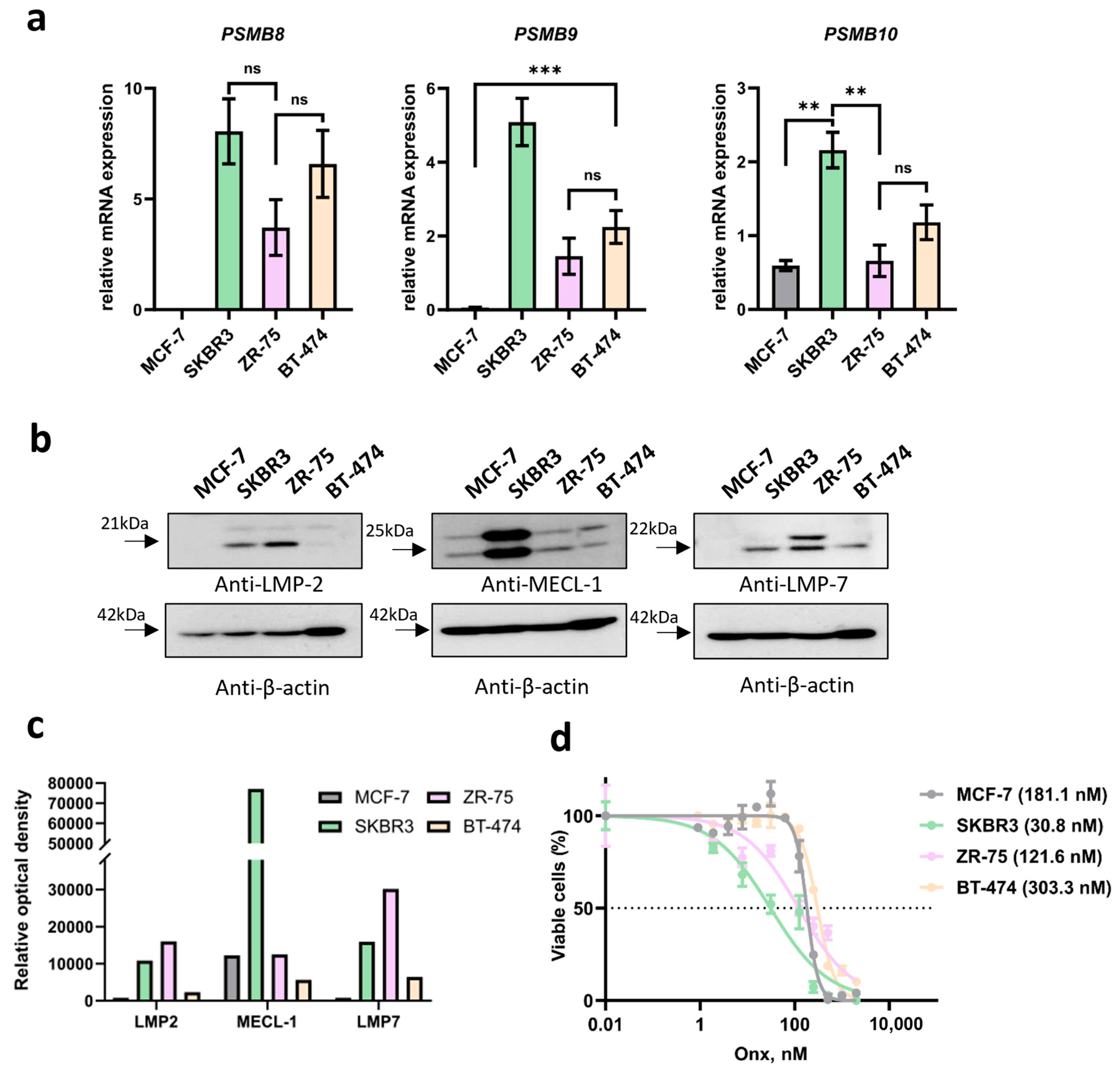 Cancers 17 00159 g003 Cancers 17 00159 g003