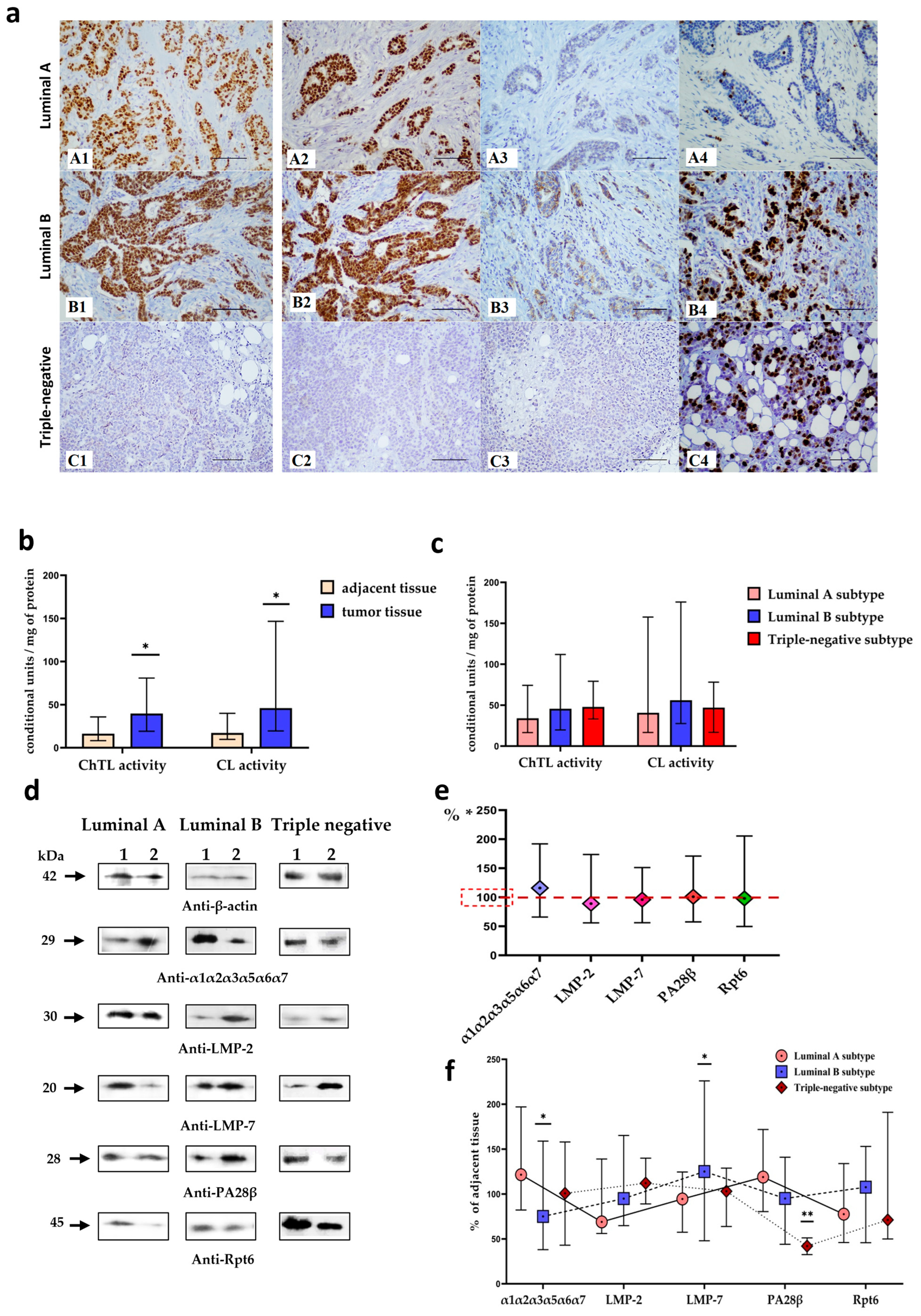 Cancers 17 00159 g004 Cancers 17 00159 g004