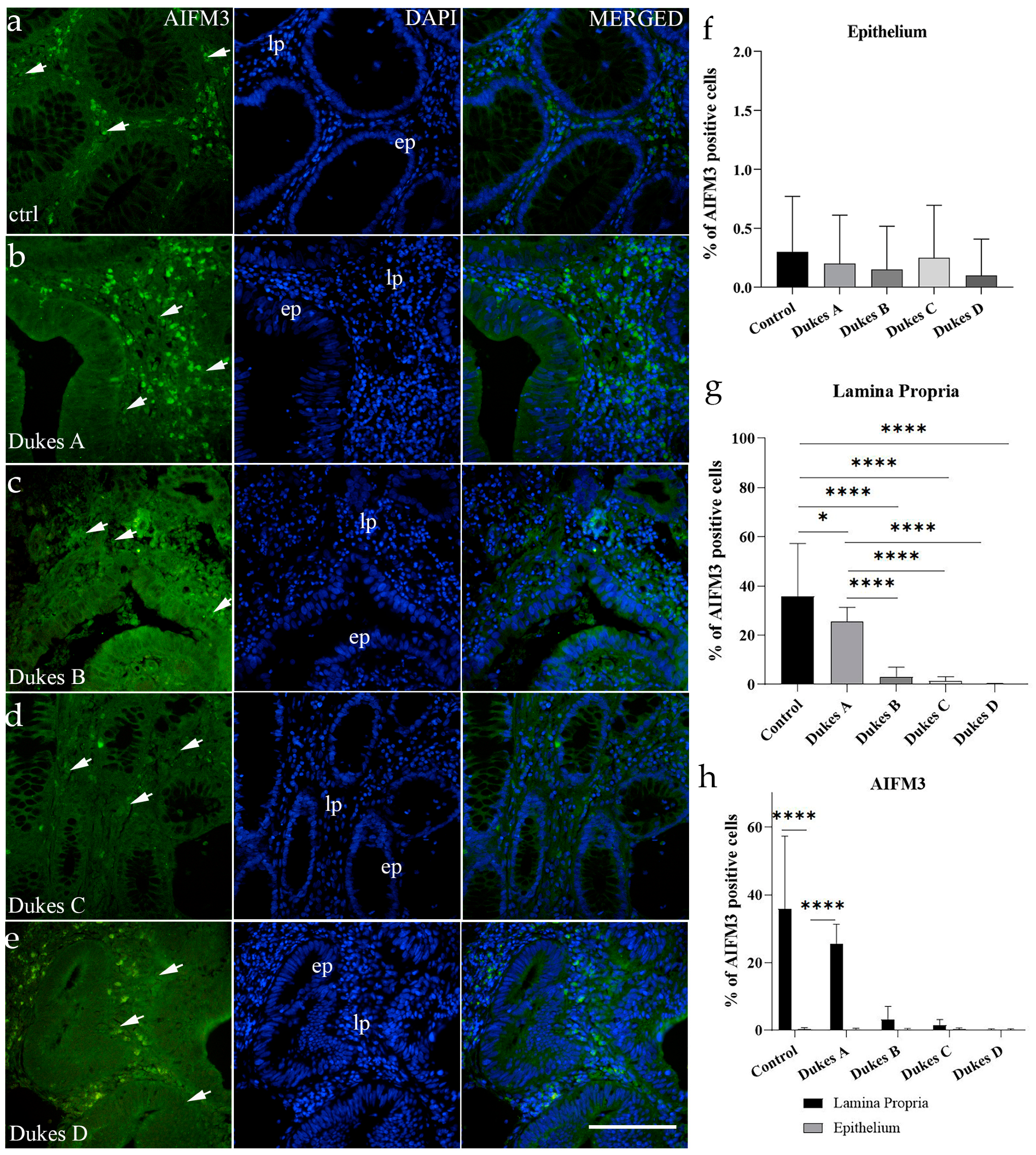 Cancers 17 00166 g002