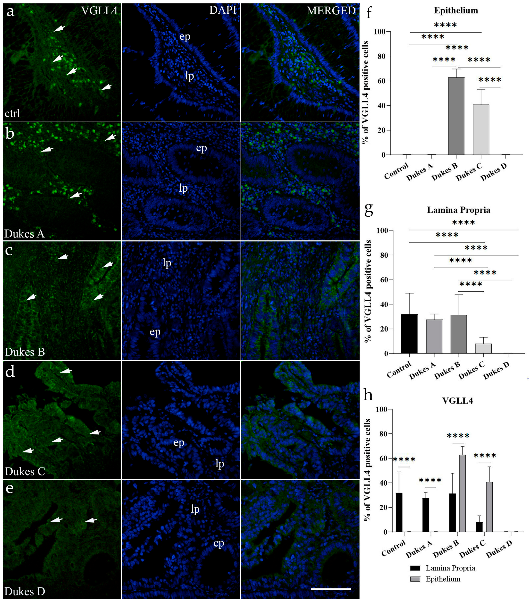 Cancers 17 00166 g003