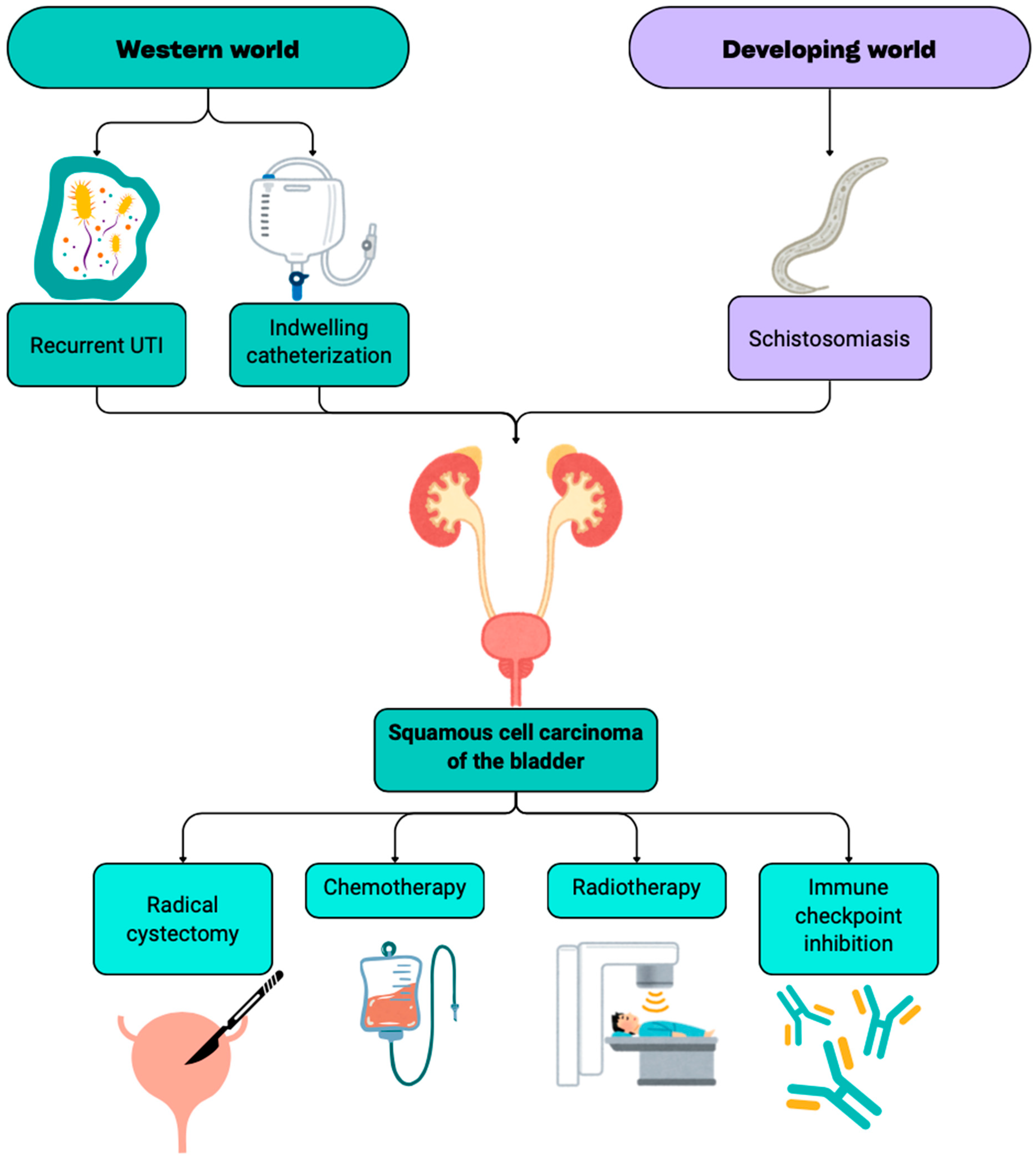 Cancers 17 00169 g001
