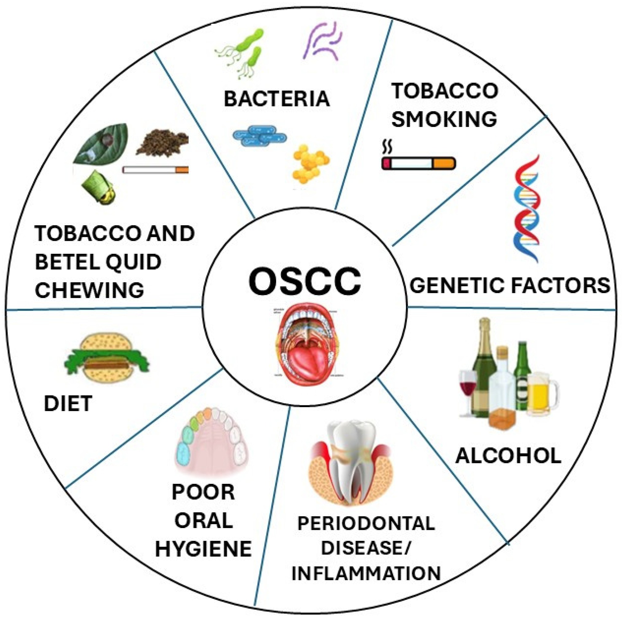 Cancers 17 00171 g001