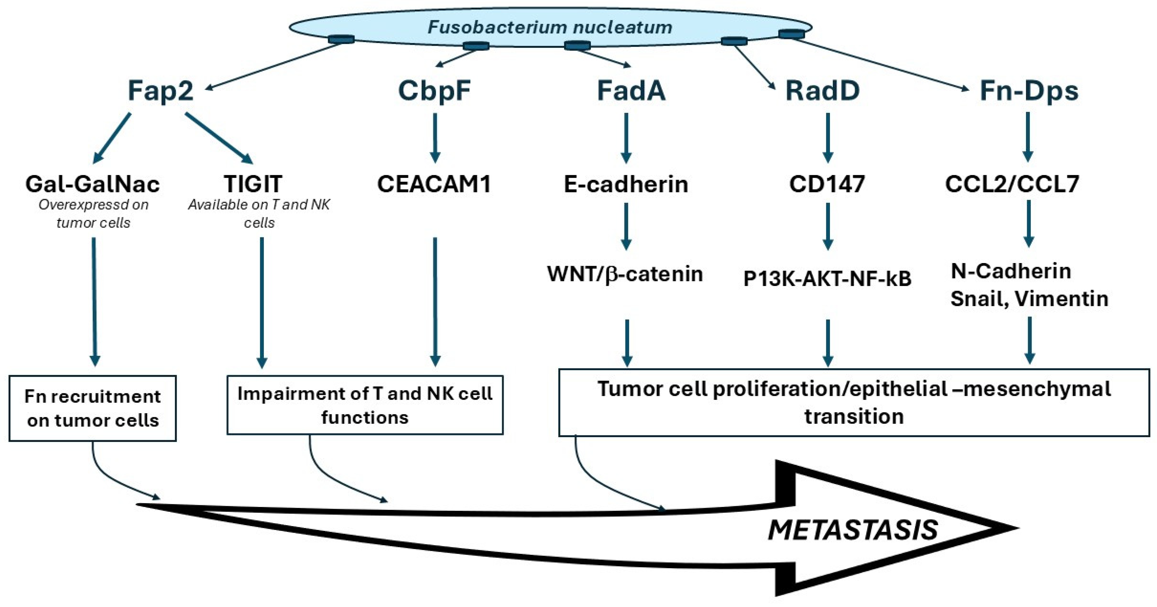 Cancers 17 00171 g002