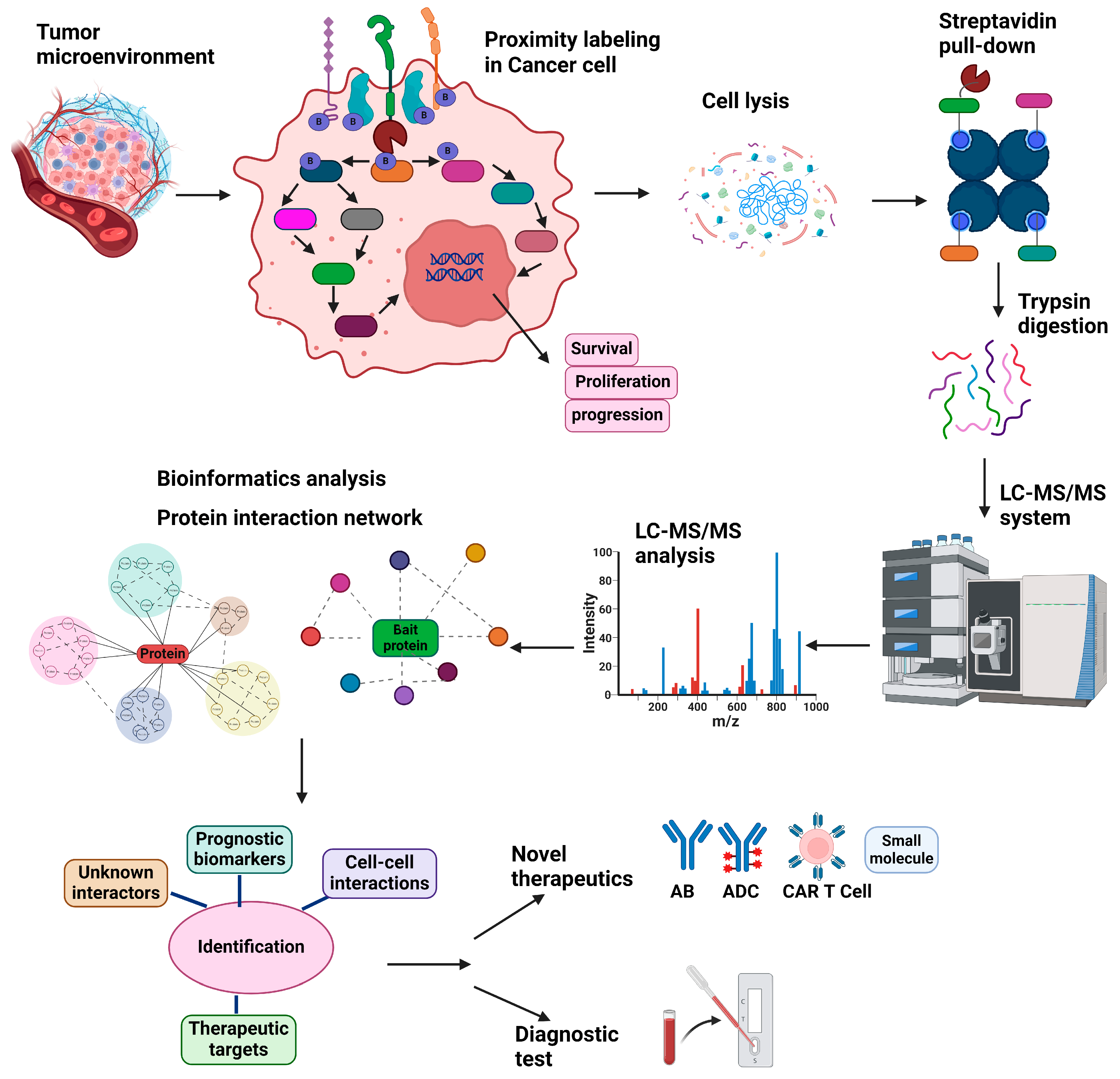 Cancers 17 00179 g002 Cancers 17 00179 g002