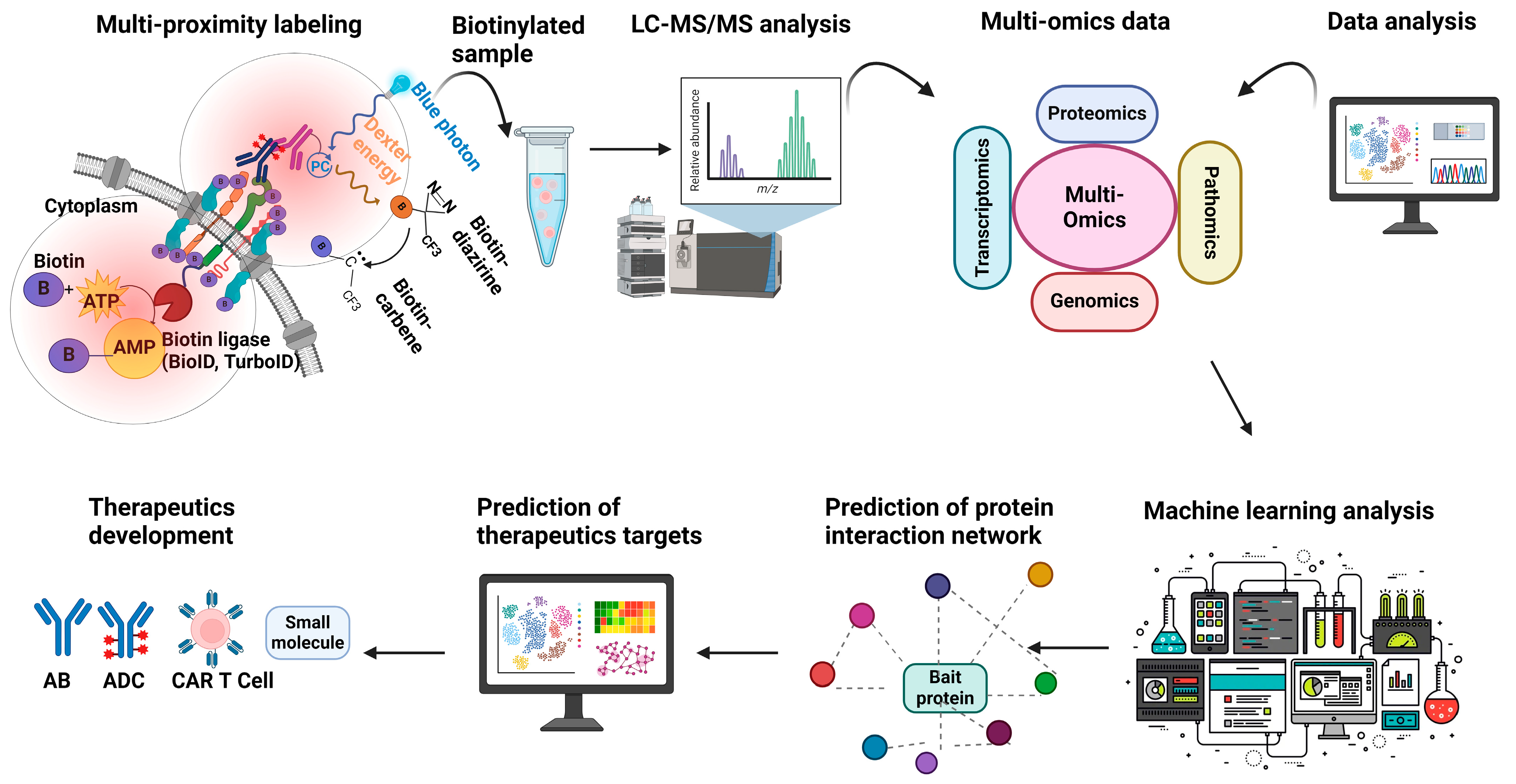 Cancers 17 00179 g003 Cancers 17 00179 g003