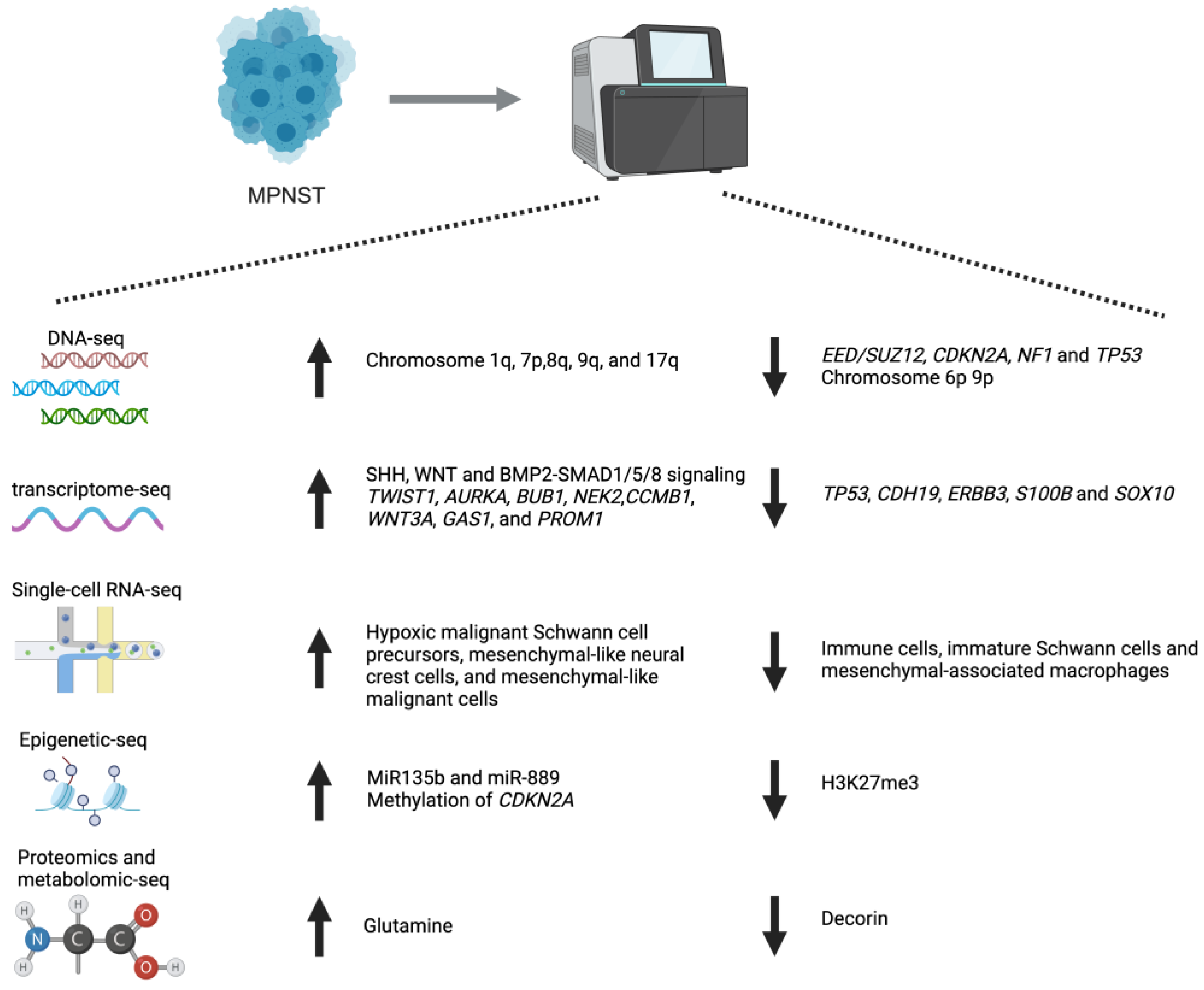 Cancers 17 00180 g001