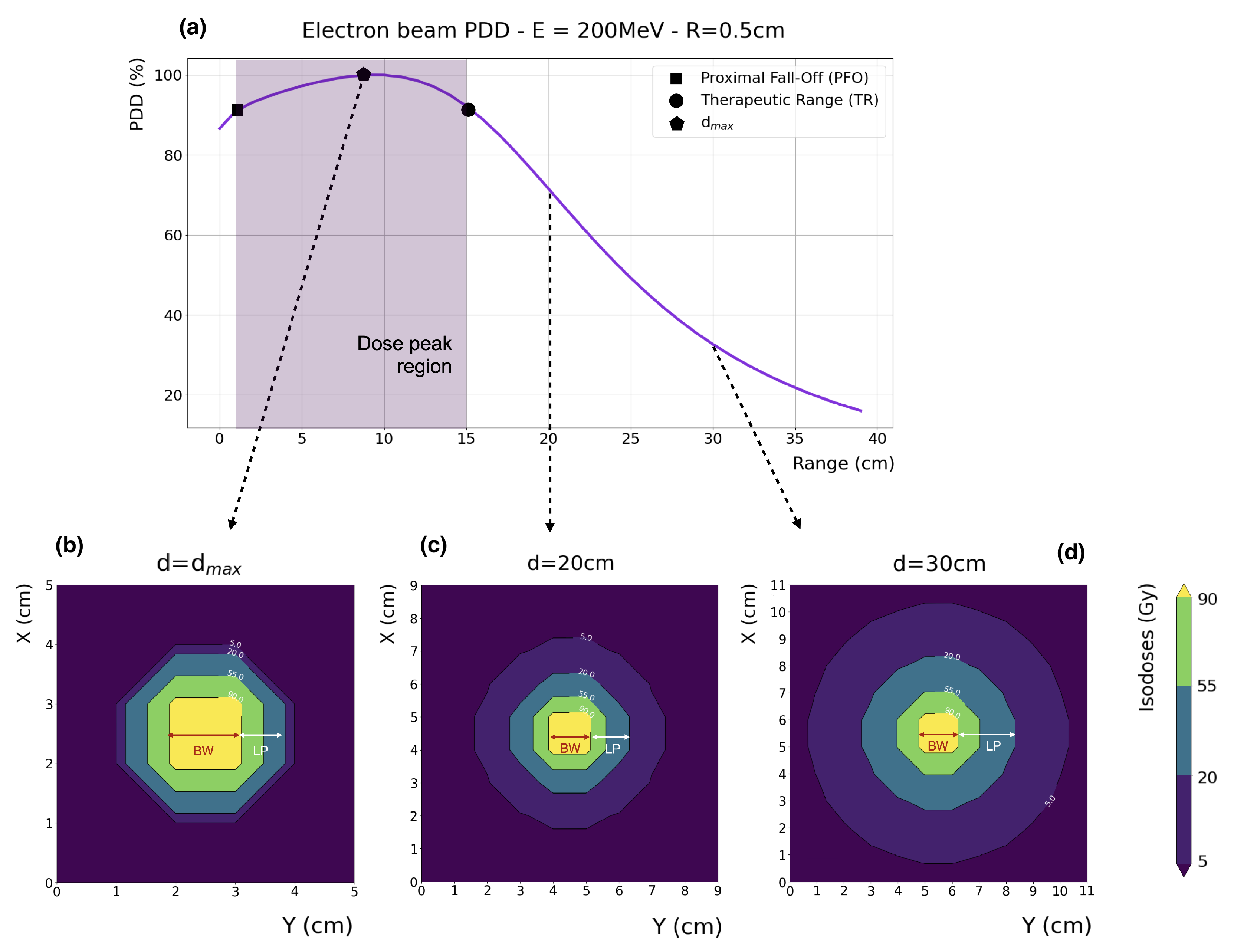 Cancers 17 00181 g001 Cancers 17 00181 g001