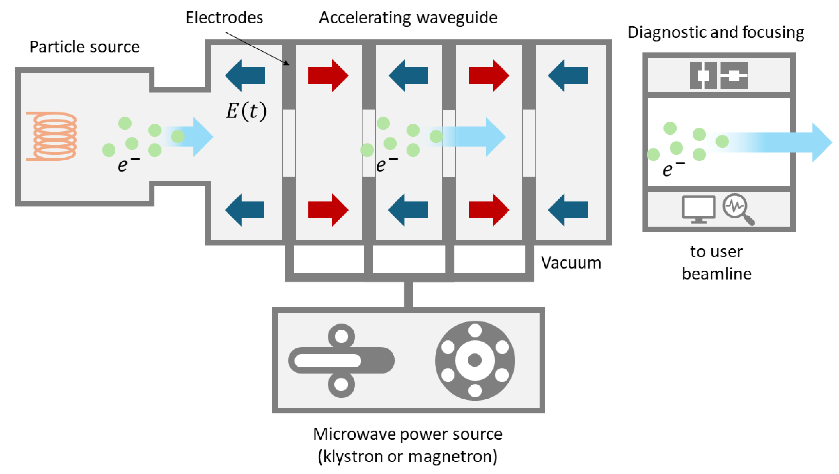 Cancers 17 00181 g005 Cancers 17 00181 g005