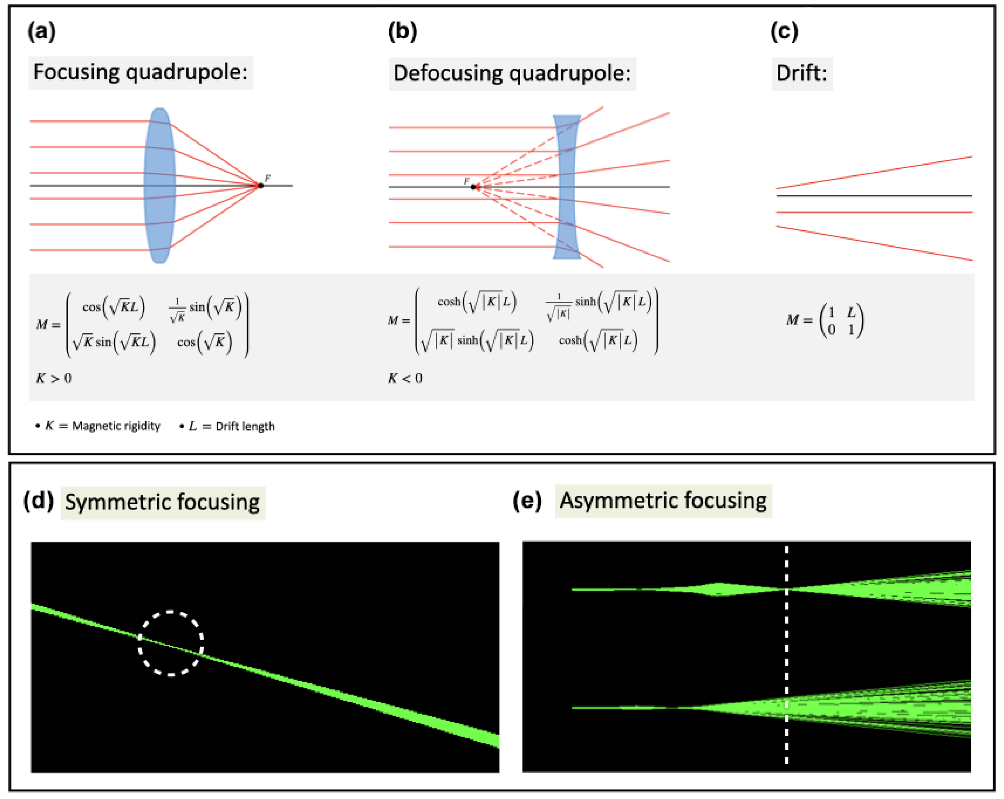 Cancers 17 00181 g009 Cancers 17 00181 g009