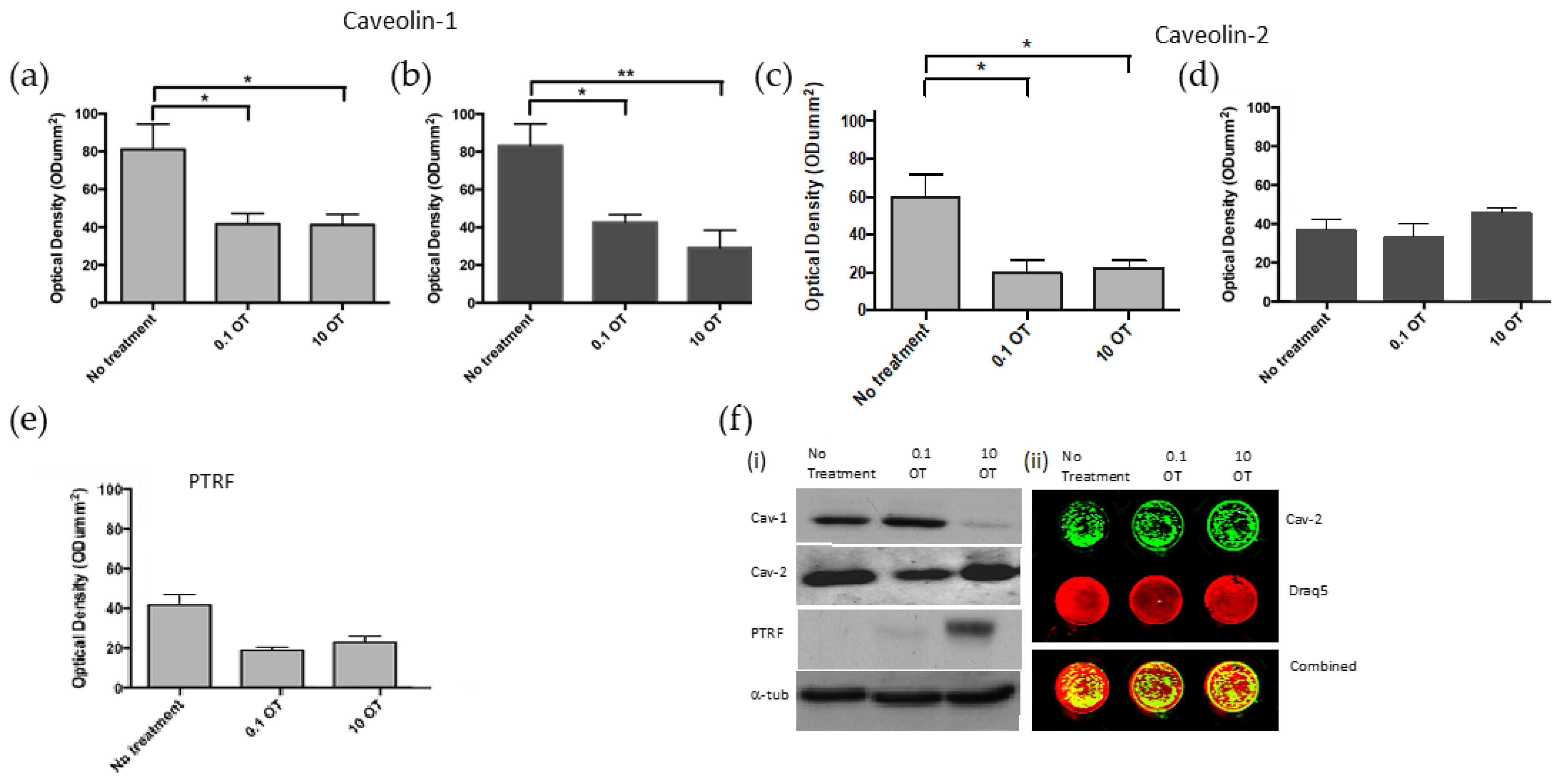 Cancers 17 00182 g005