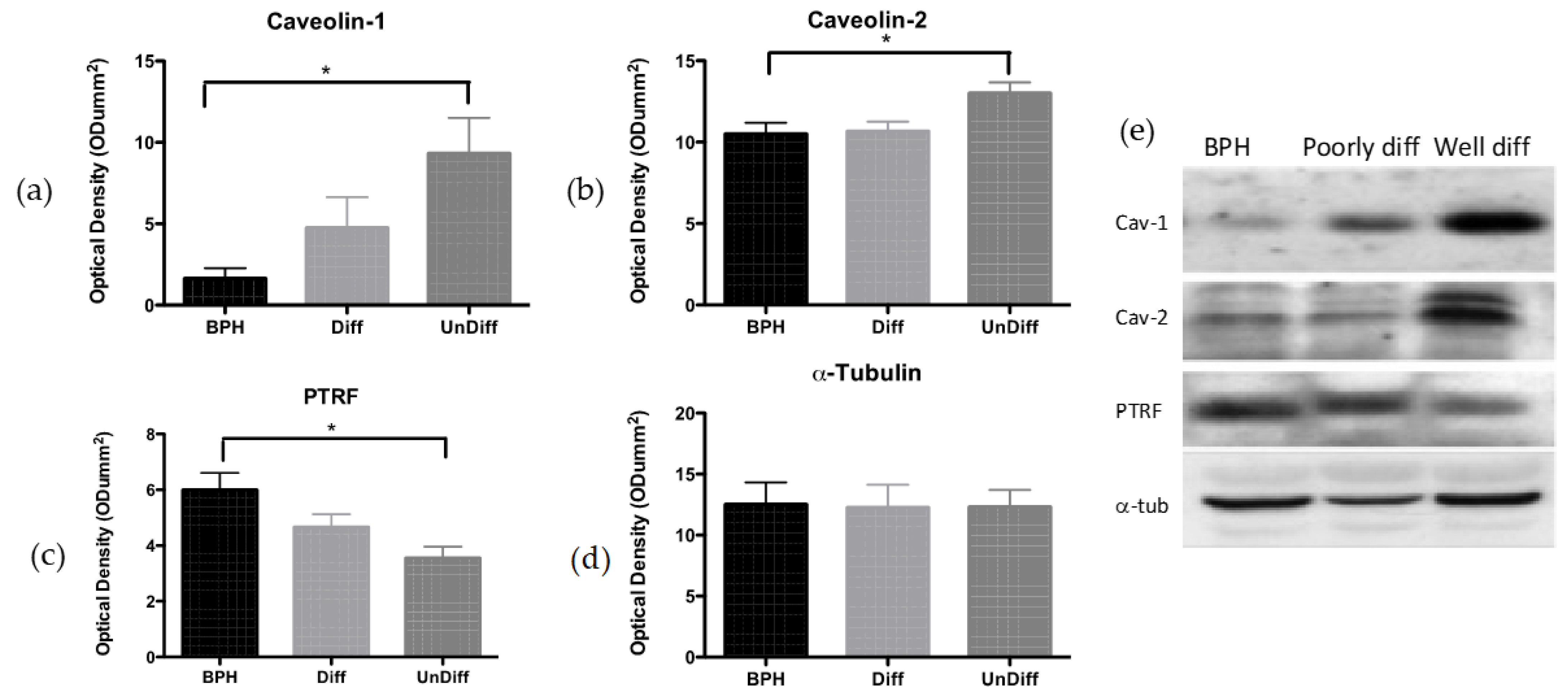 Cancers 17 00182 g006