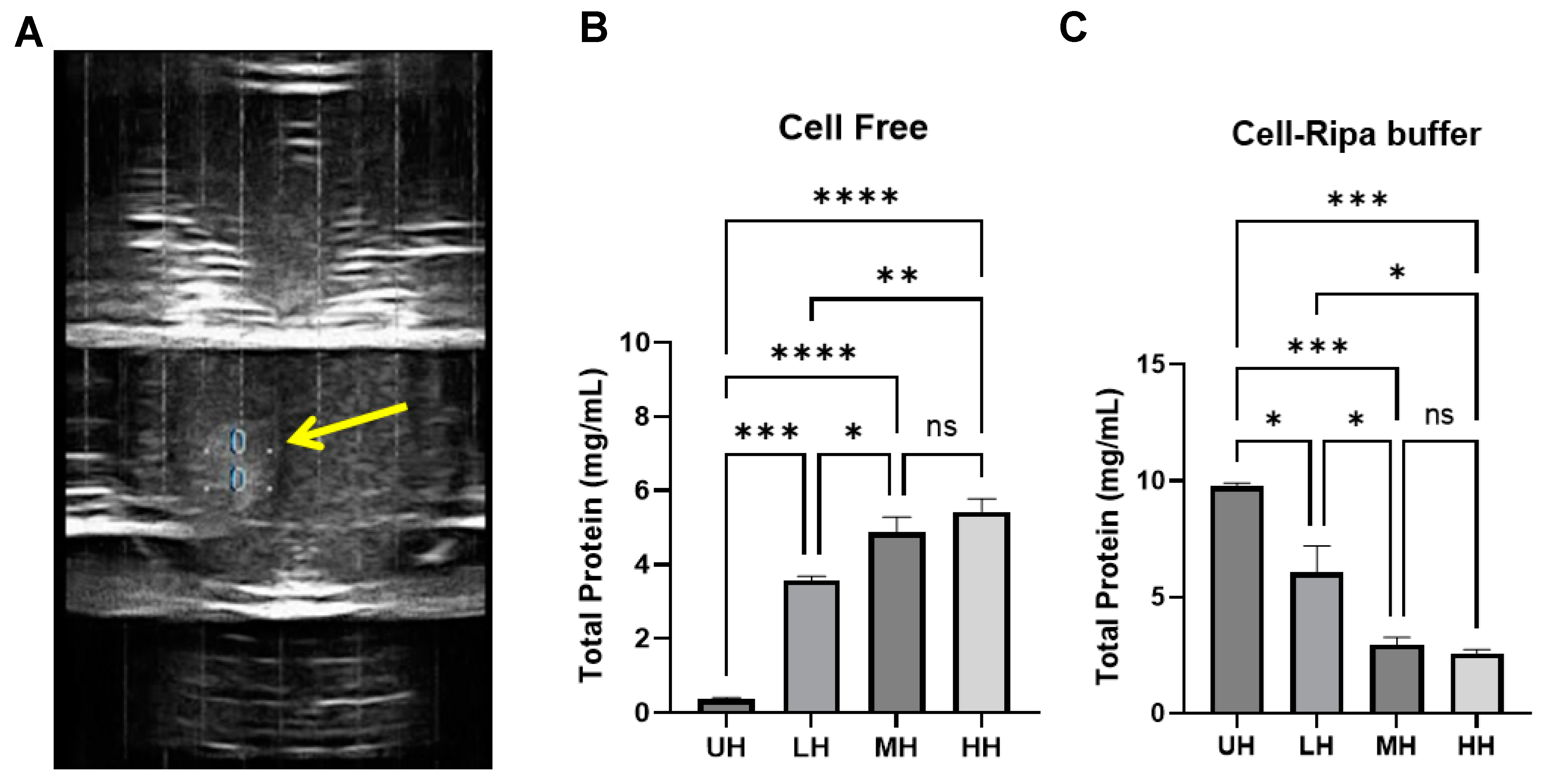Cancers 17 00183 g003