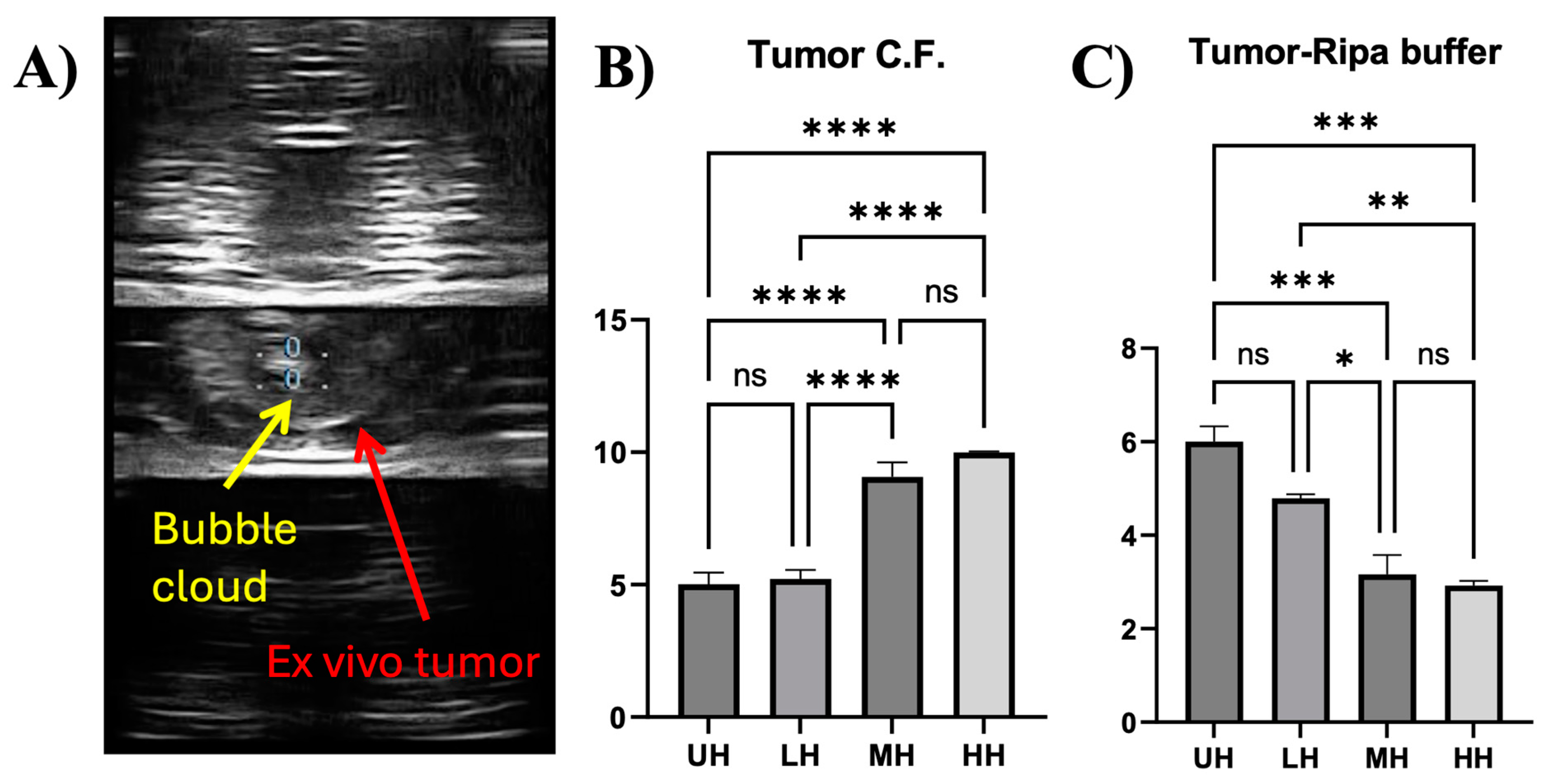 Cancers 17 00183 g007