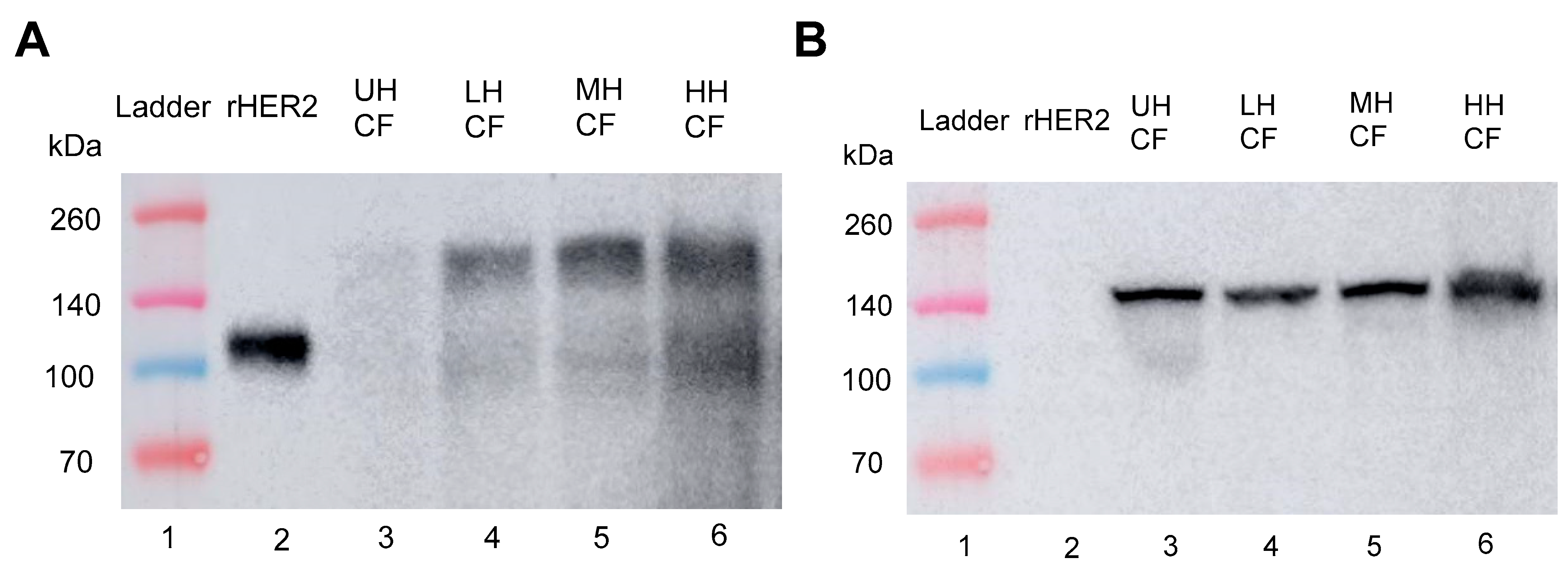 Cancers 17 00183 g009