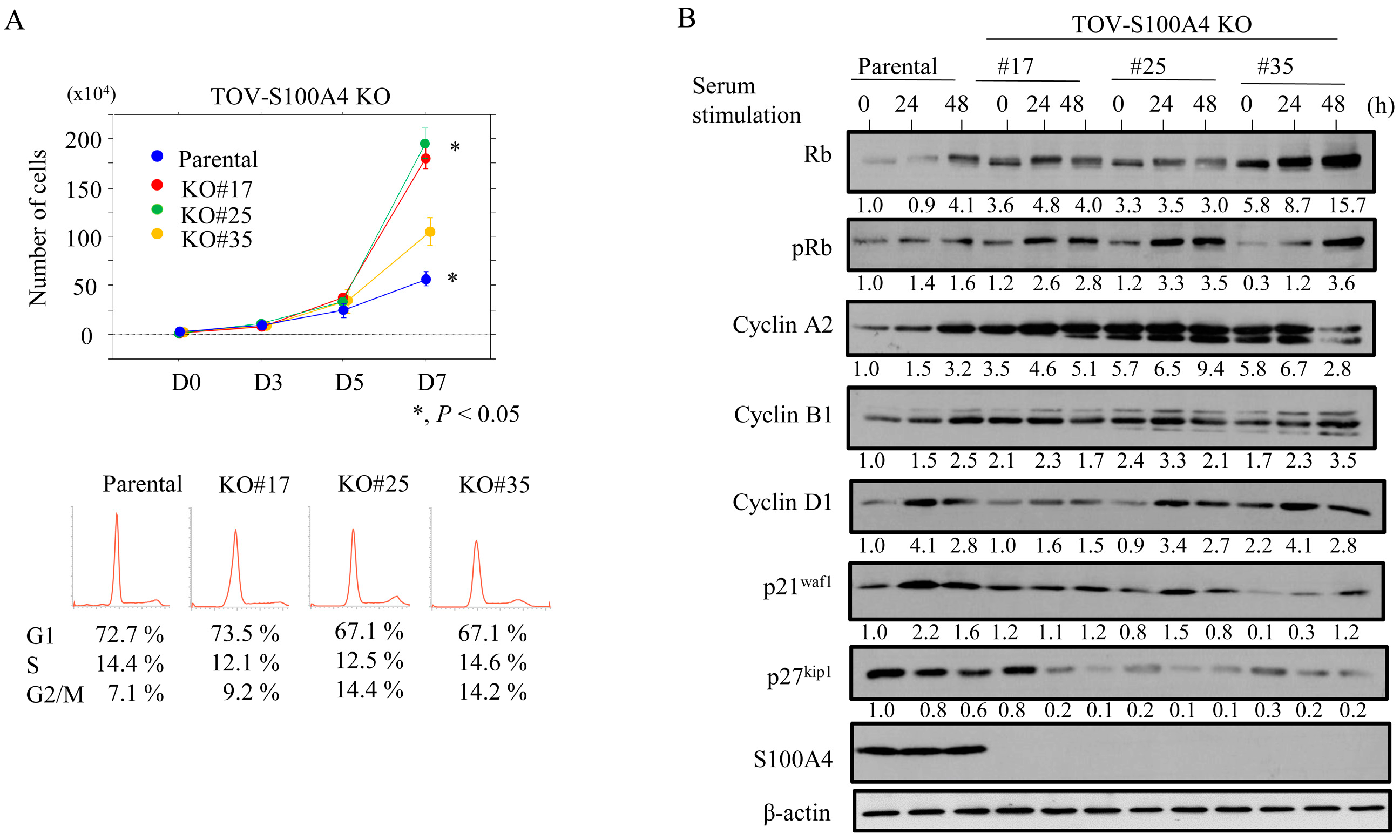 Cancers 17 00184 g001