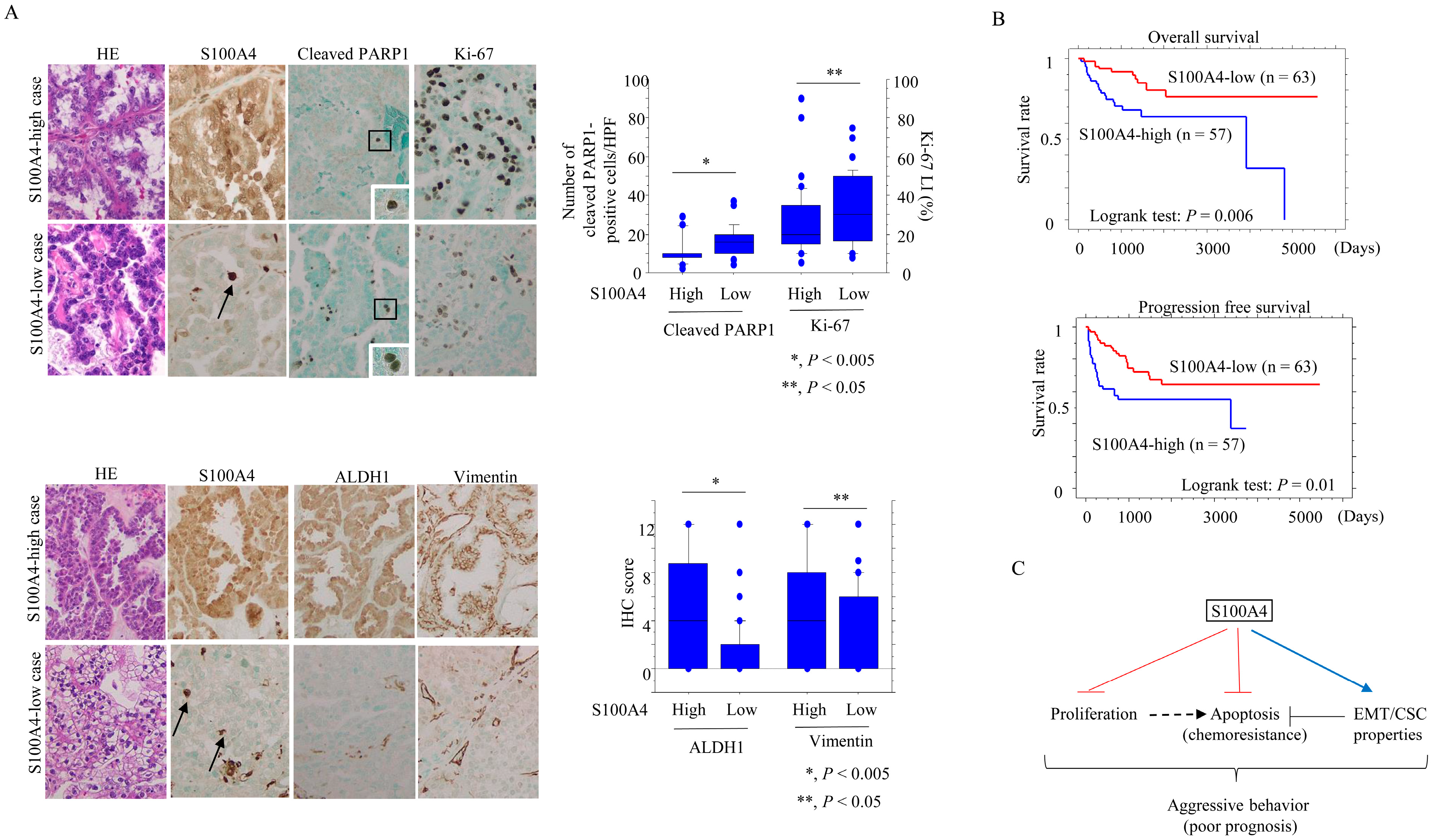 Cancers 17 00184 g007
