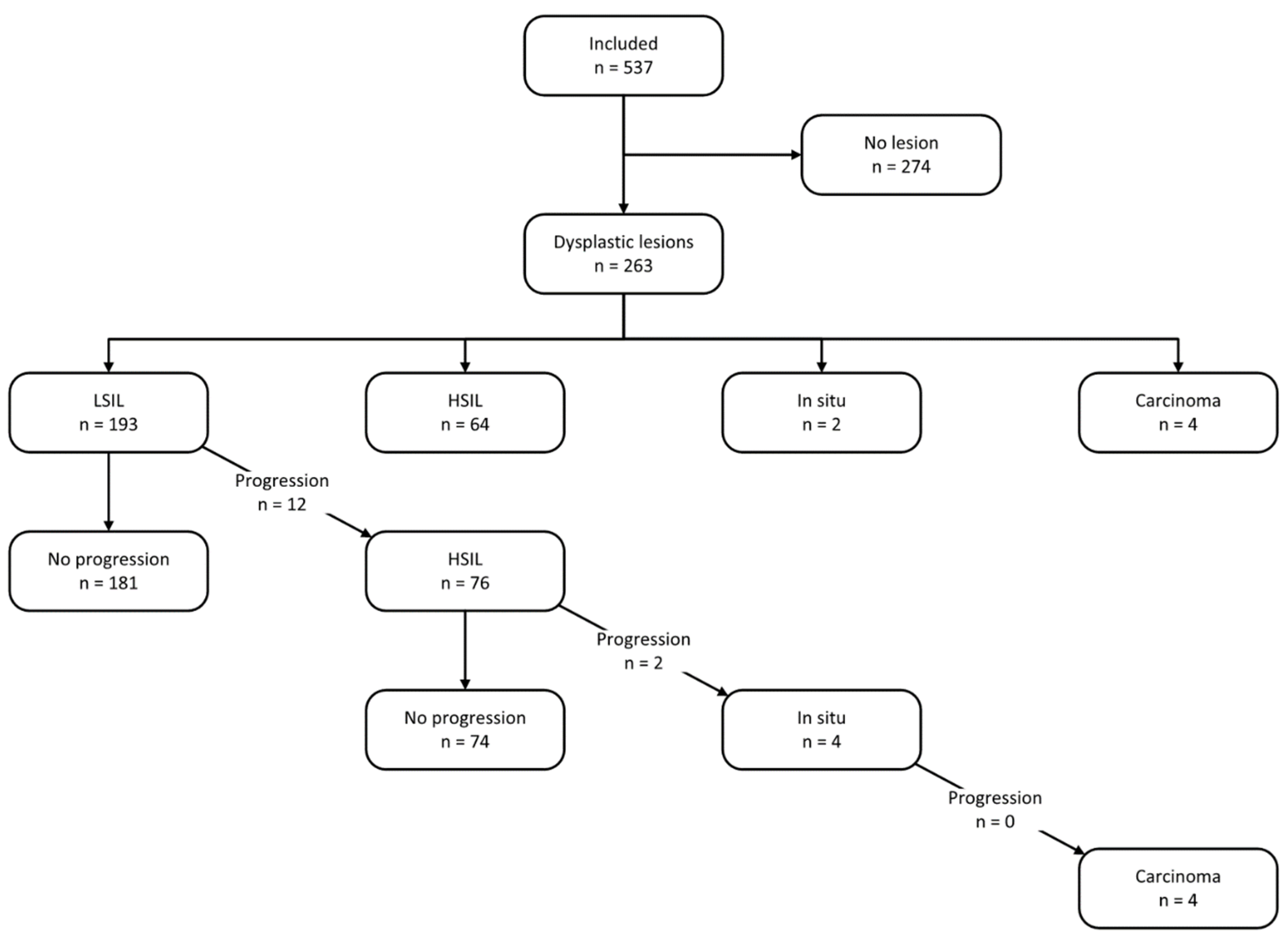 Cancers 17 00193 g003