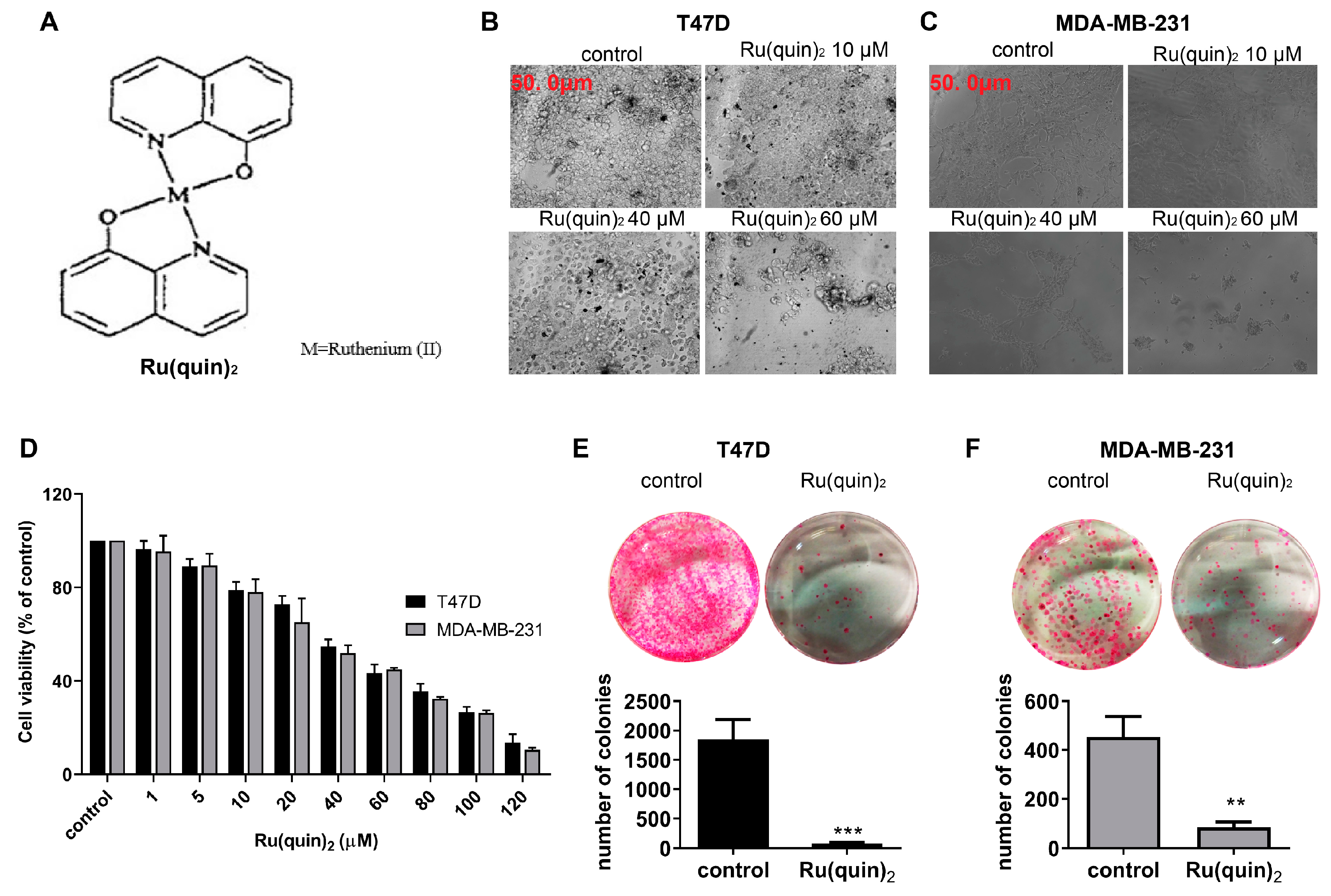 Cancers 17 00195 g001 Cancers 17 00195 g001