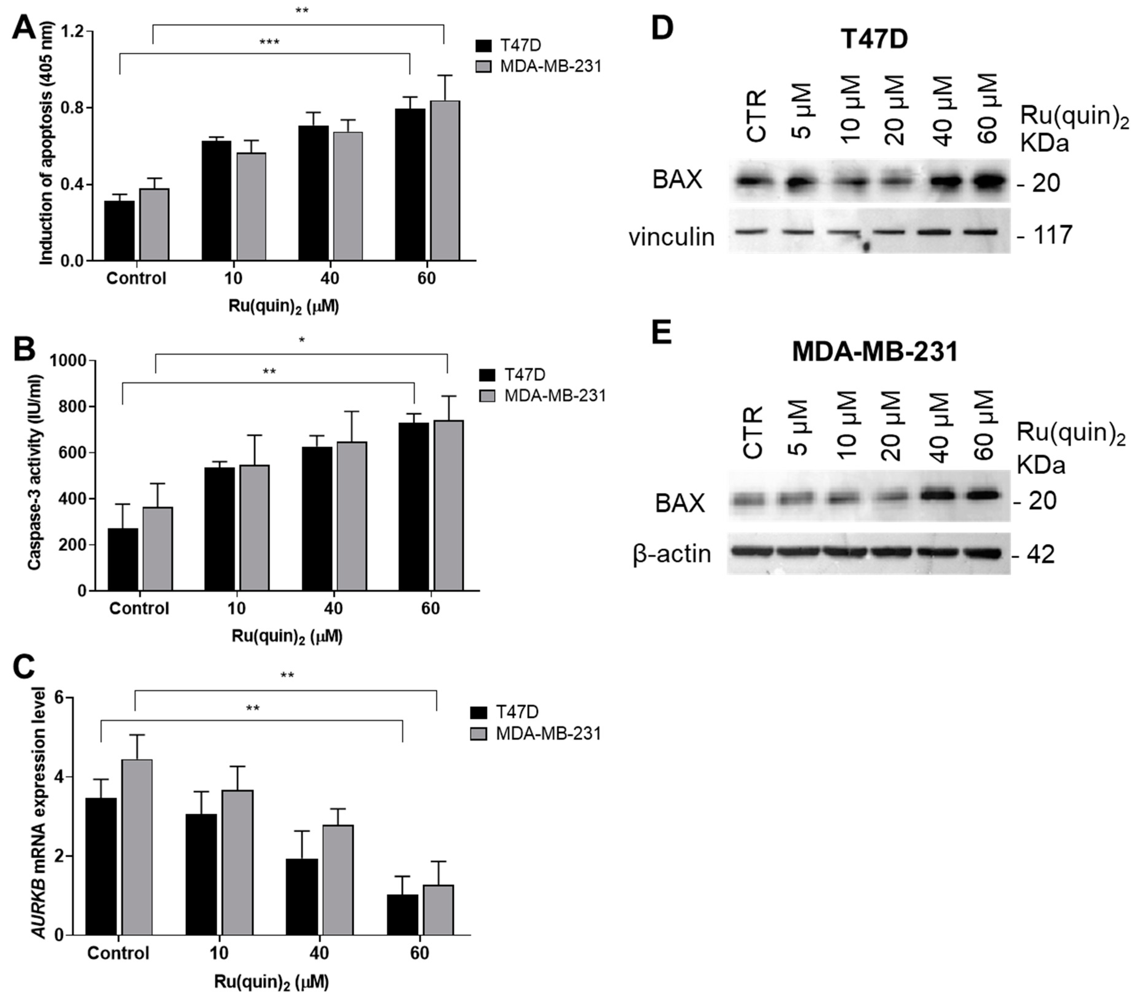 Cancers 17 00195 g002 Cancers 17 00195 g002