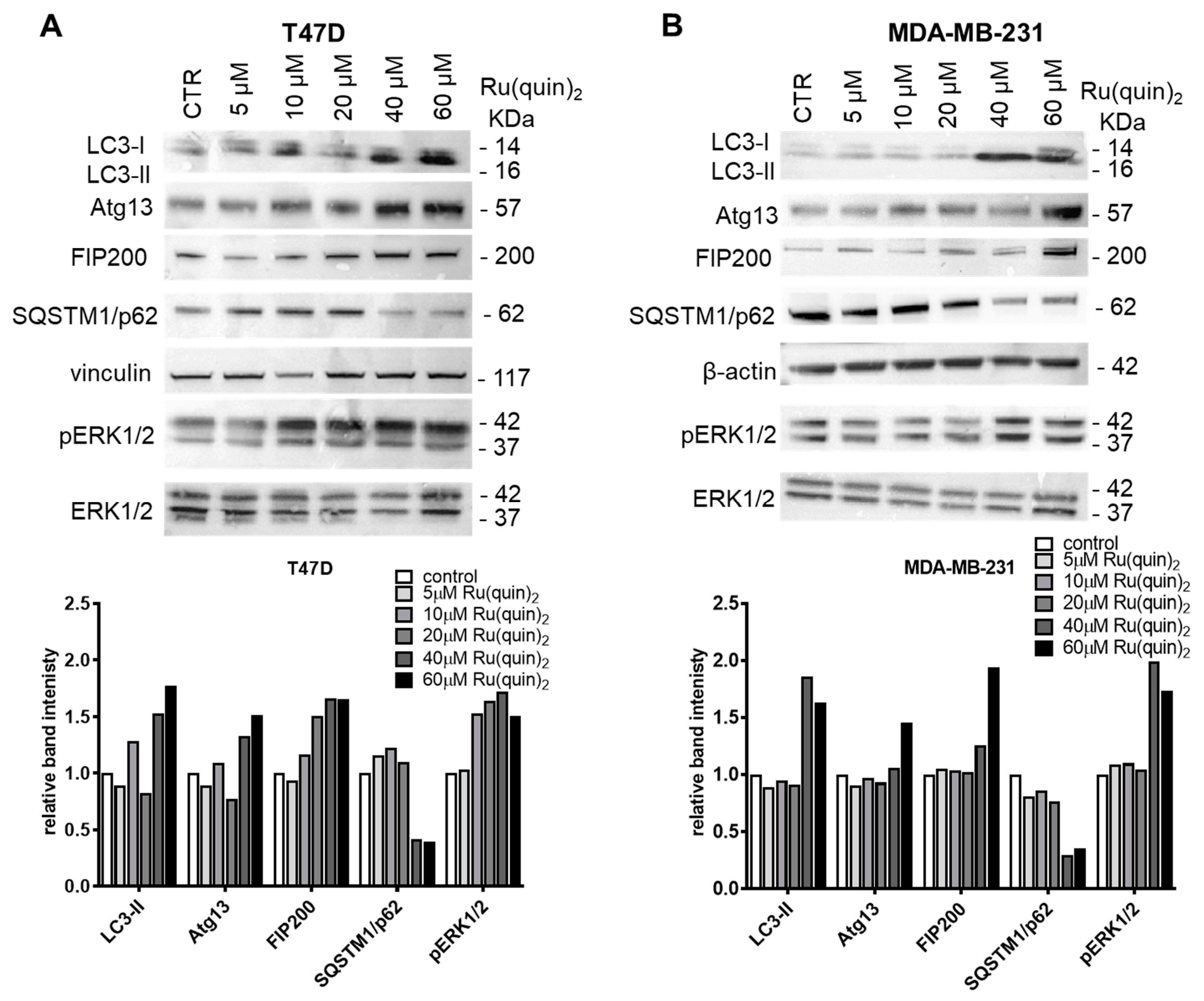 Cancers 17 00195 g003 Cancers 17 00195 g003