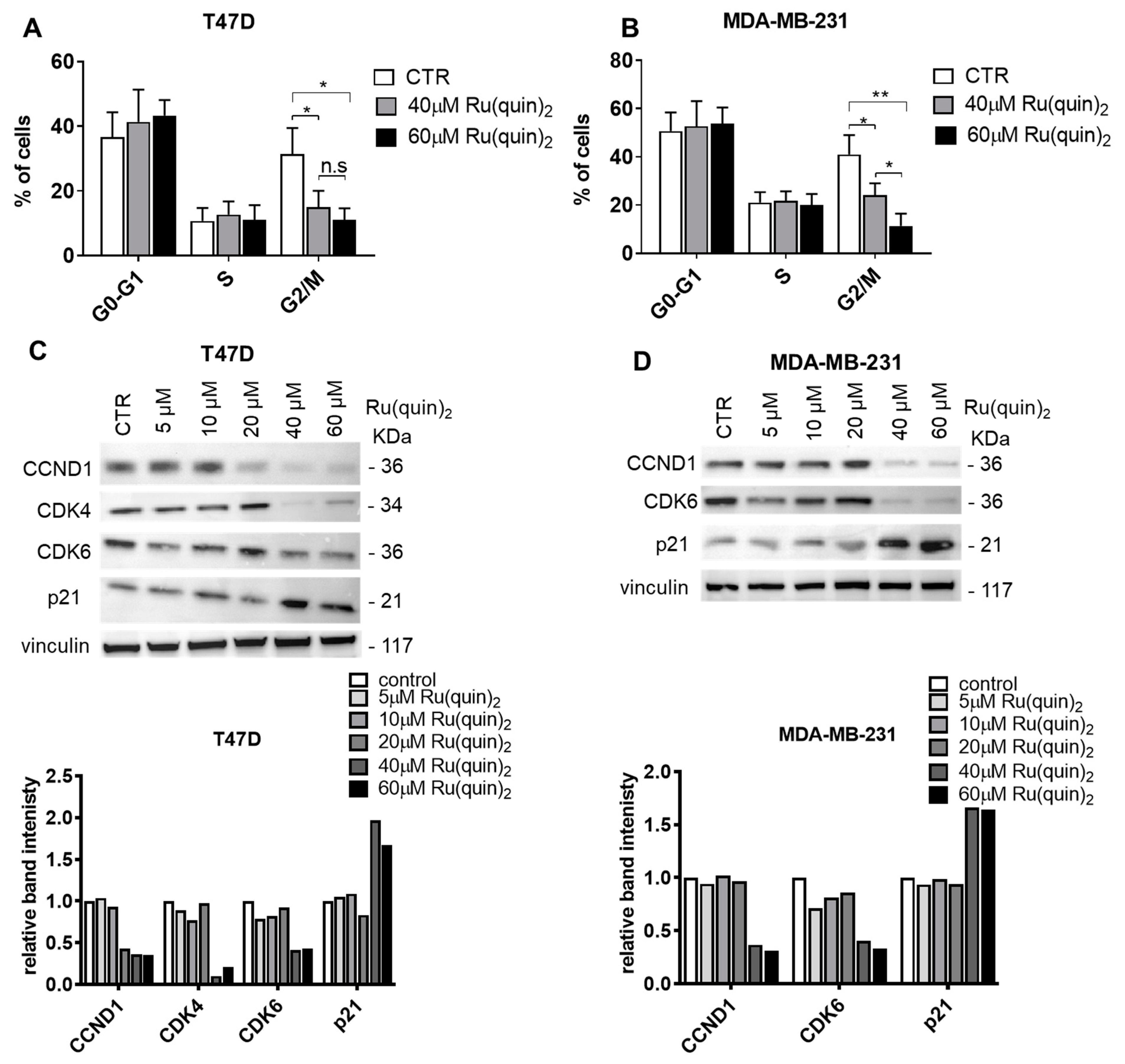 Cancers 17 00195 g004 Cancers 17 00195 g004