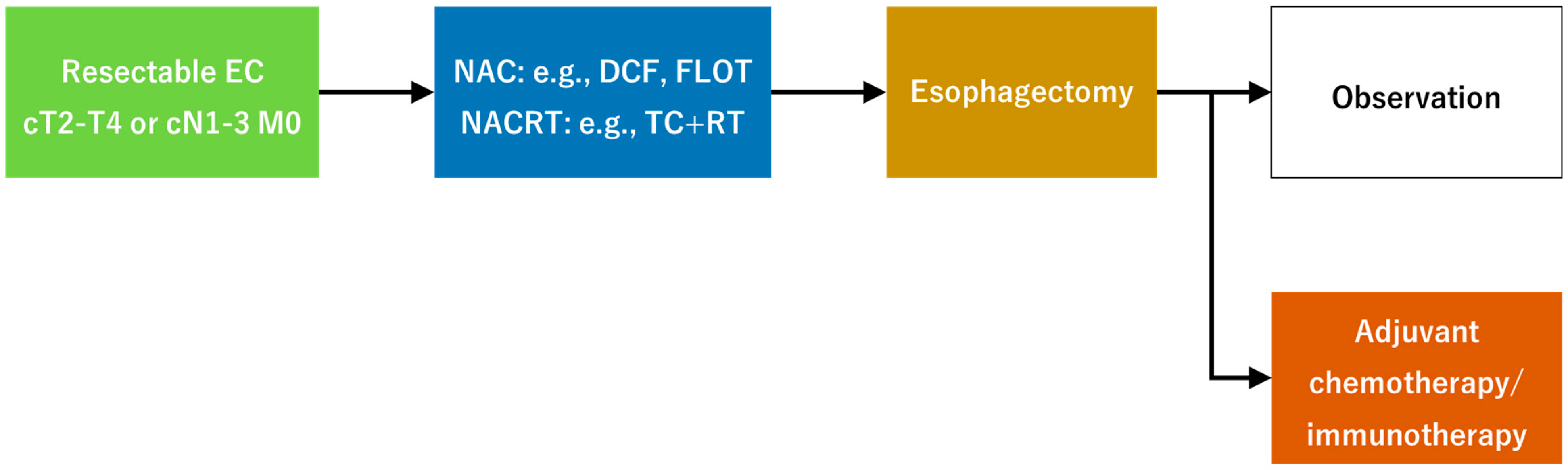 Cancers 17 00196 g001