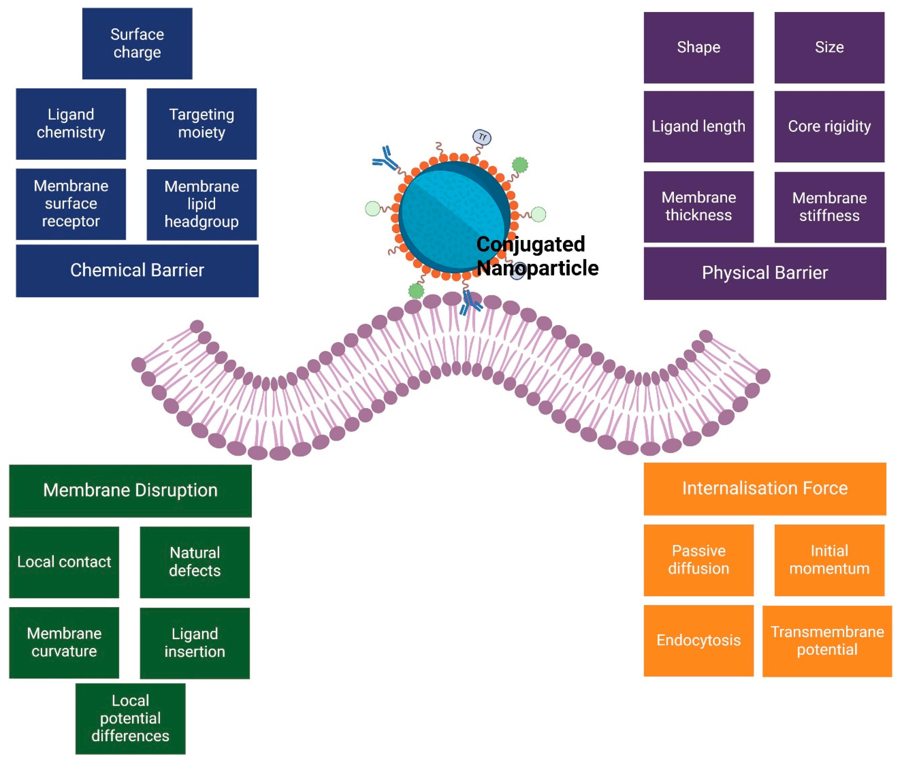Cancers 17 00198 g002