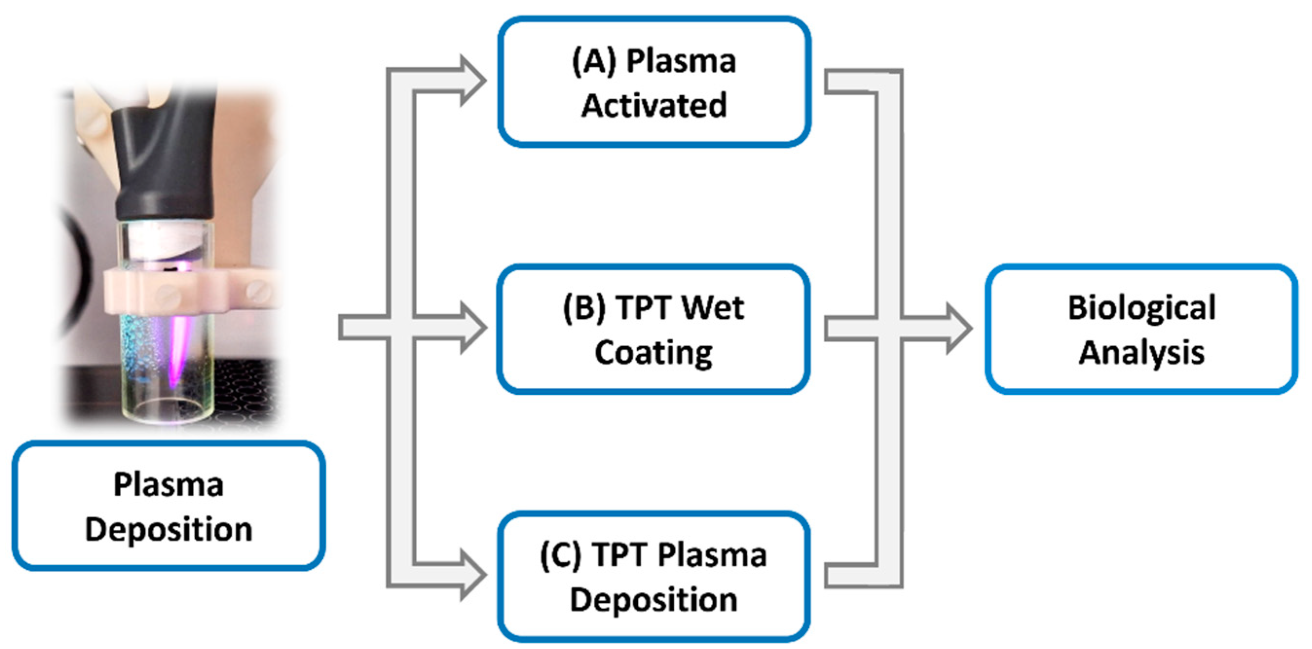 Cancers 17 00201 g002
