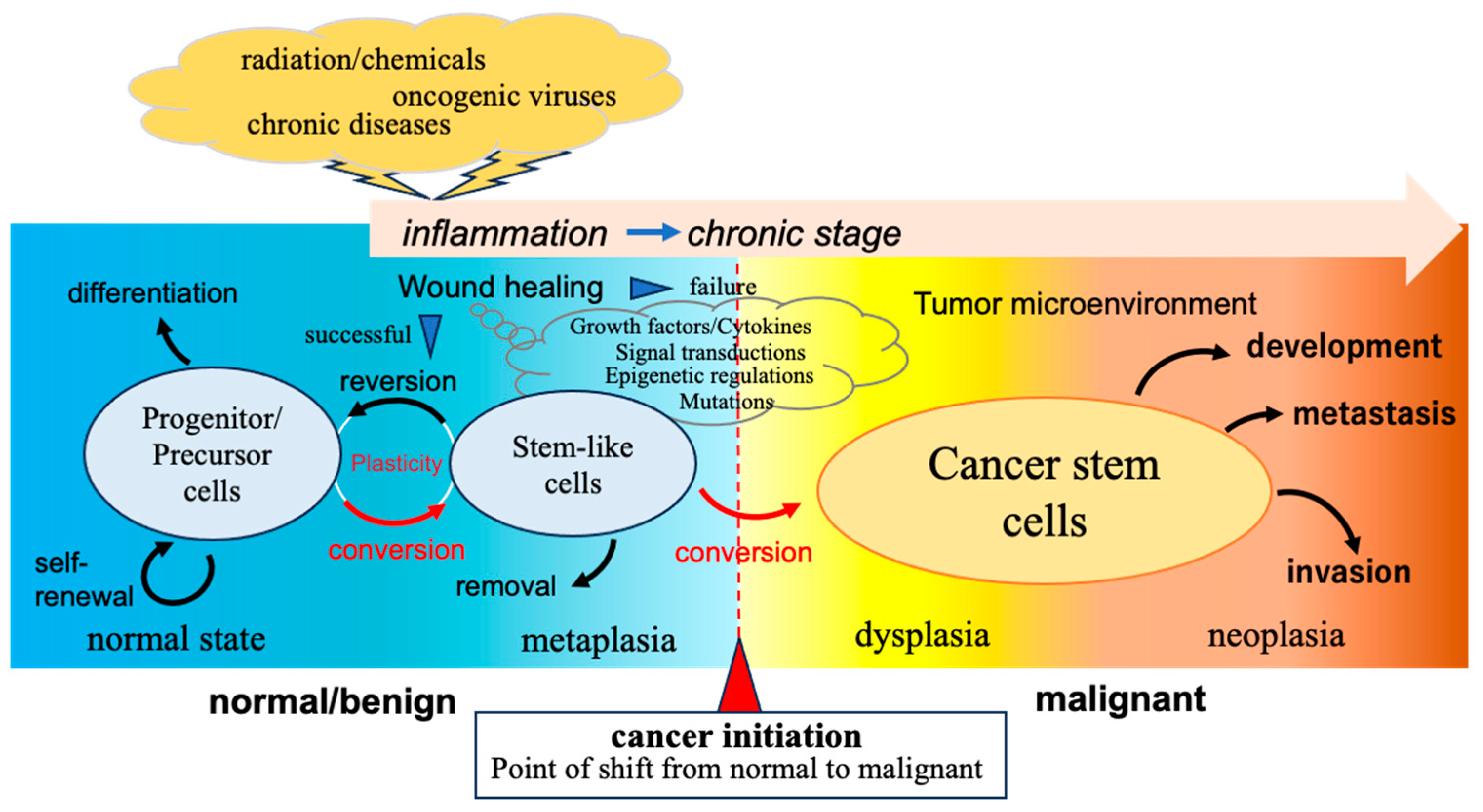 Cancers 17 00203 g001