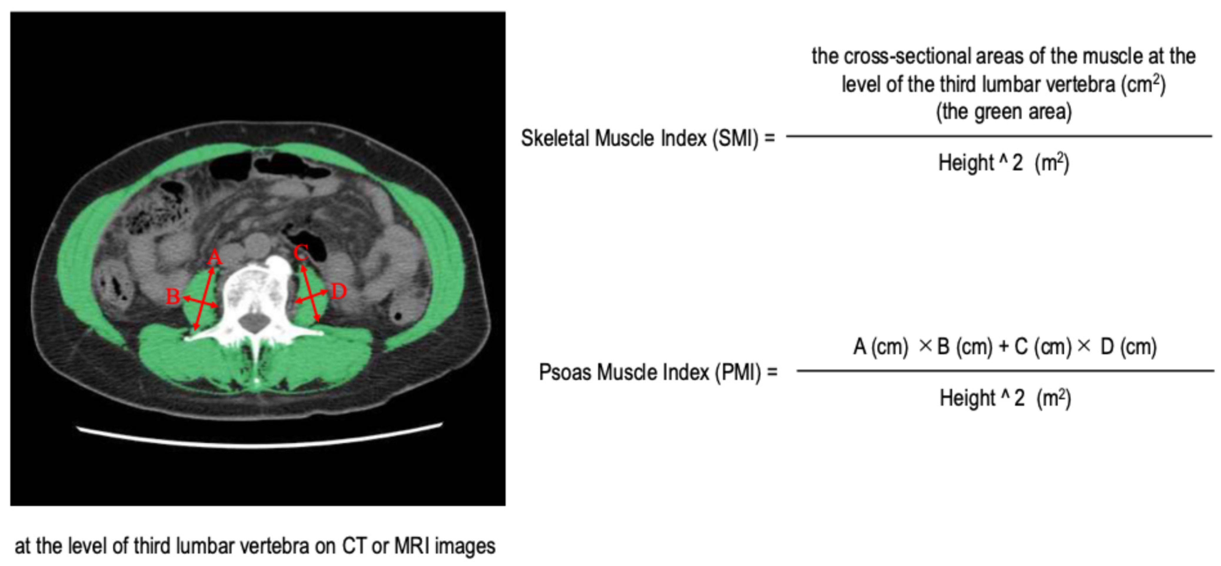 Cancers 17 00209 g001 Cancers 17 00209 g001