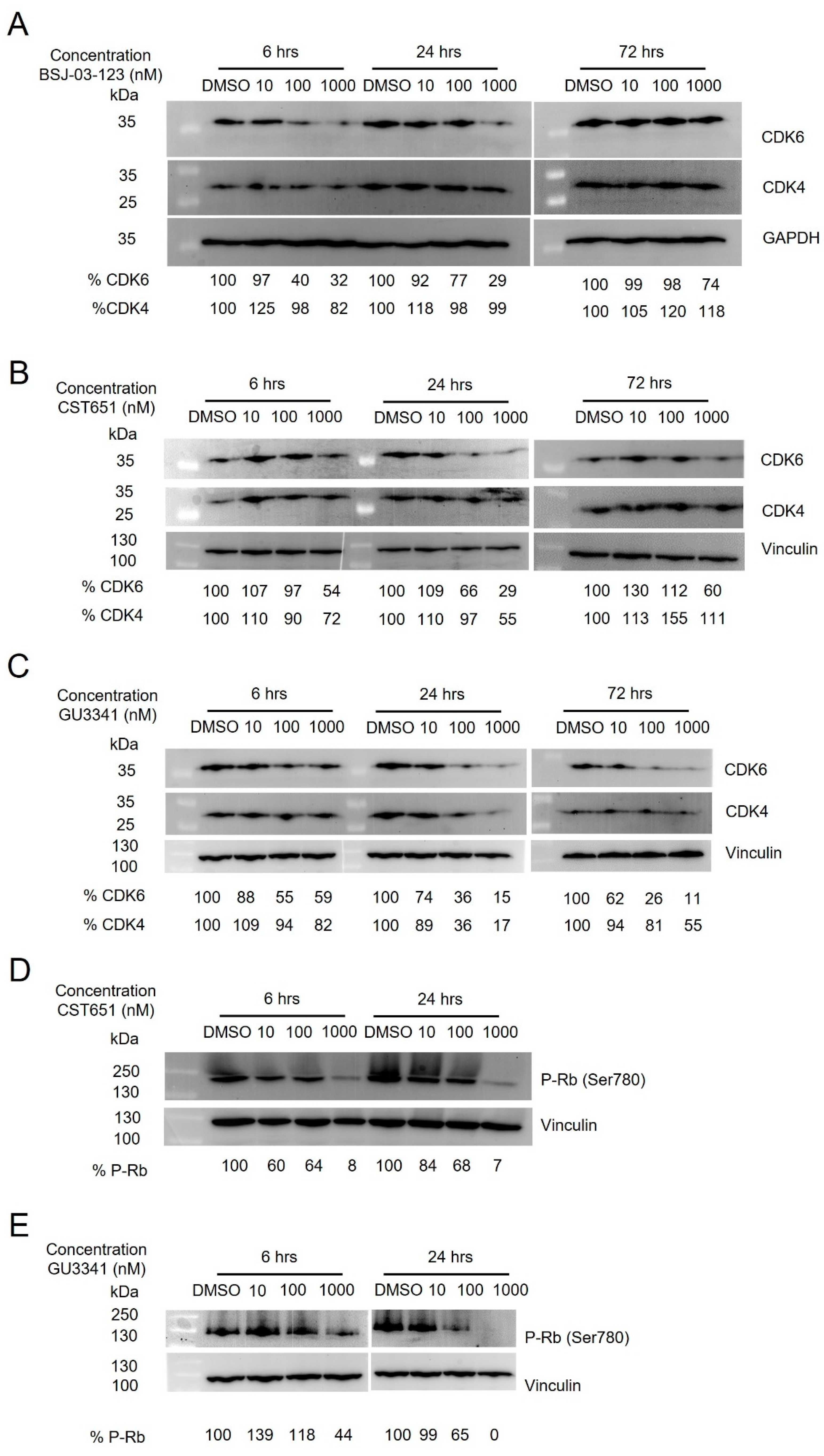 Cancers 17 00211 g002 Cancers 17 00211 g002