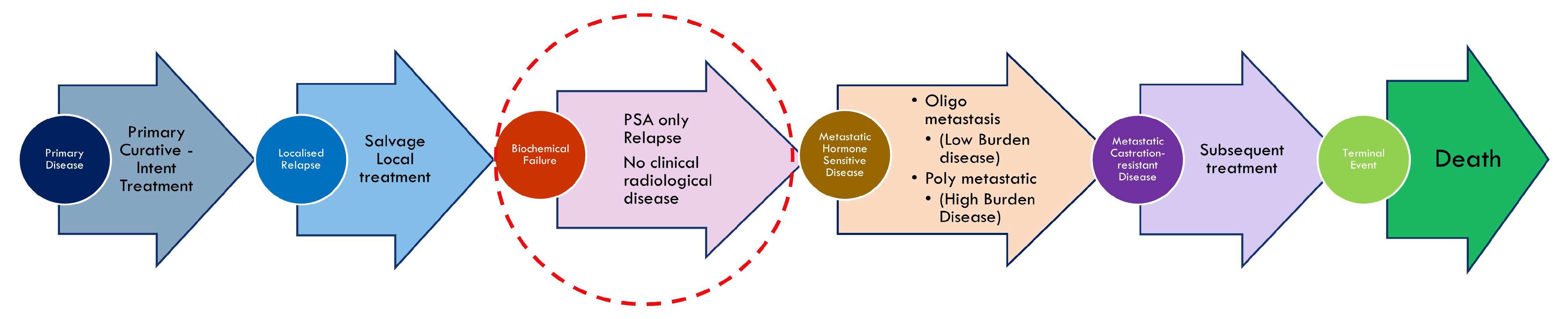 Cancers 17 00215 g001