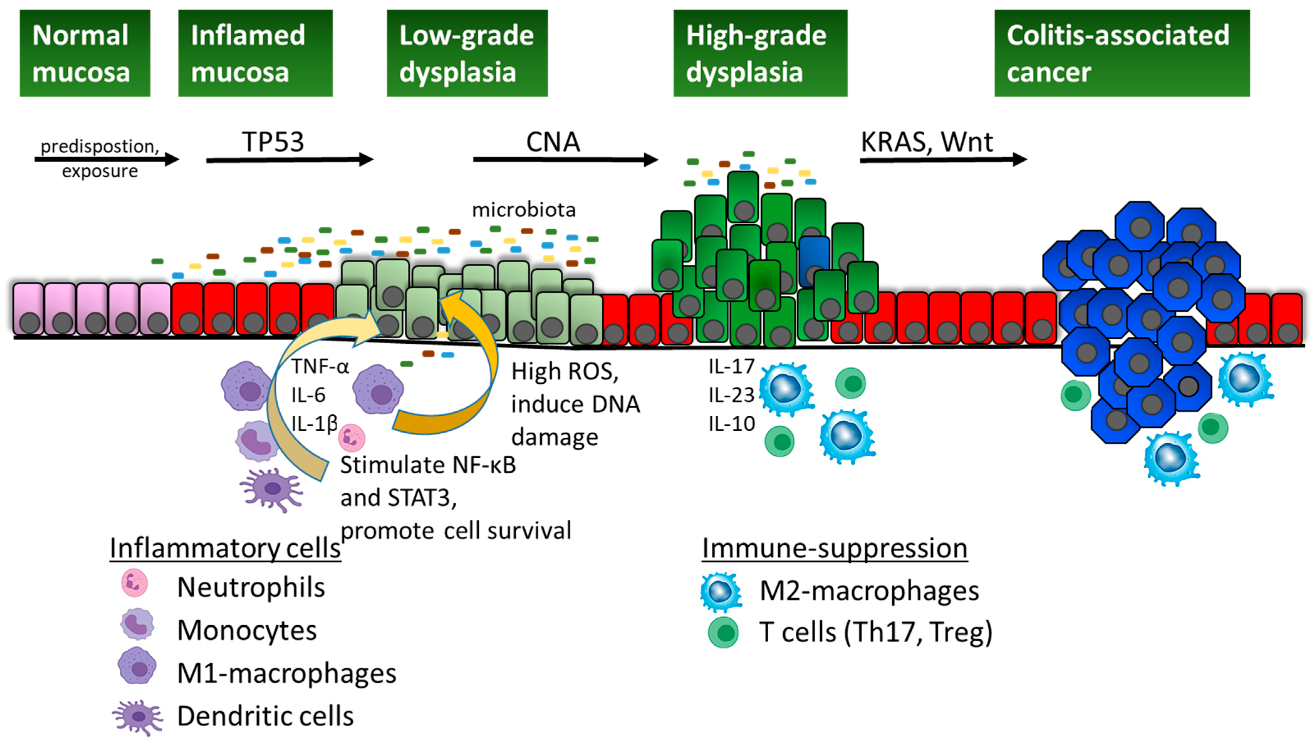 Cancers 17 00219 g001 Cancers 17 00219 g001