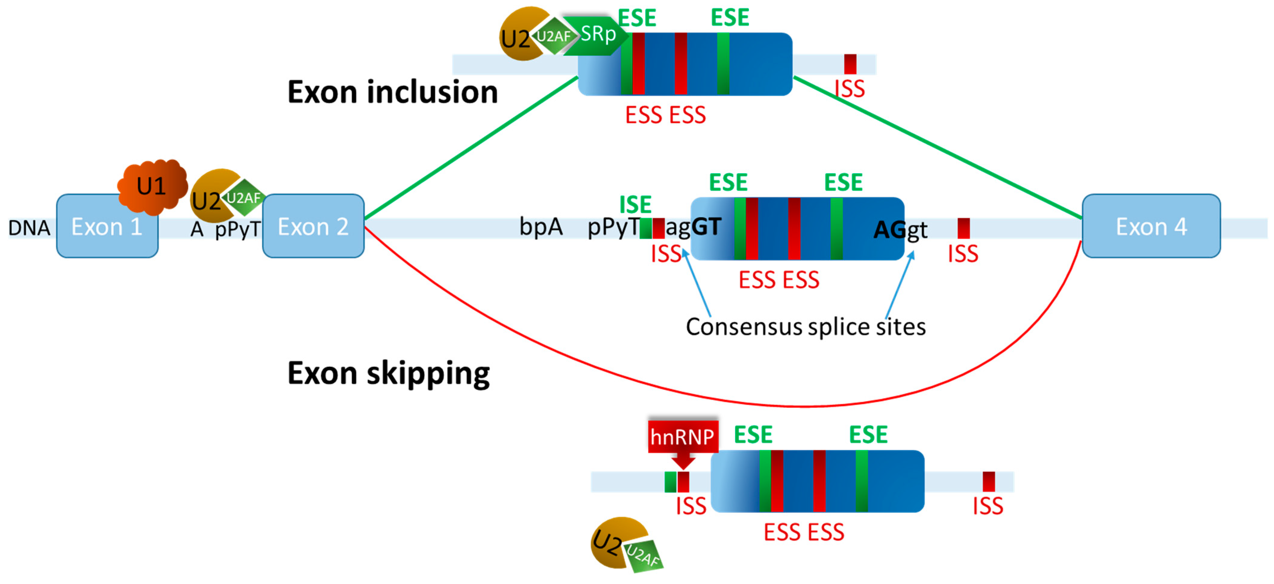 Cancers 17 00219 g002 Cancers 17 00219 g002