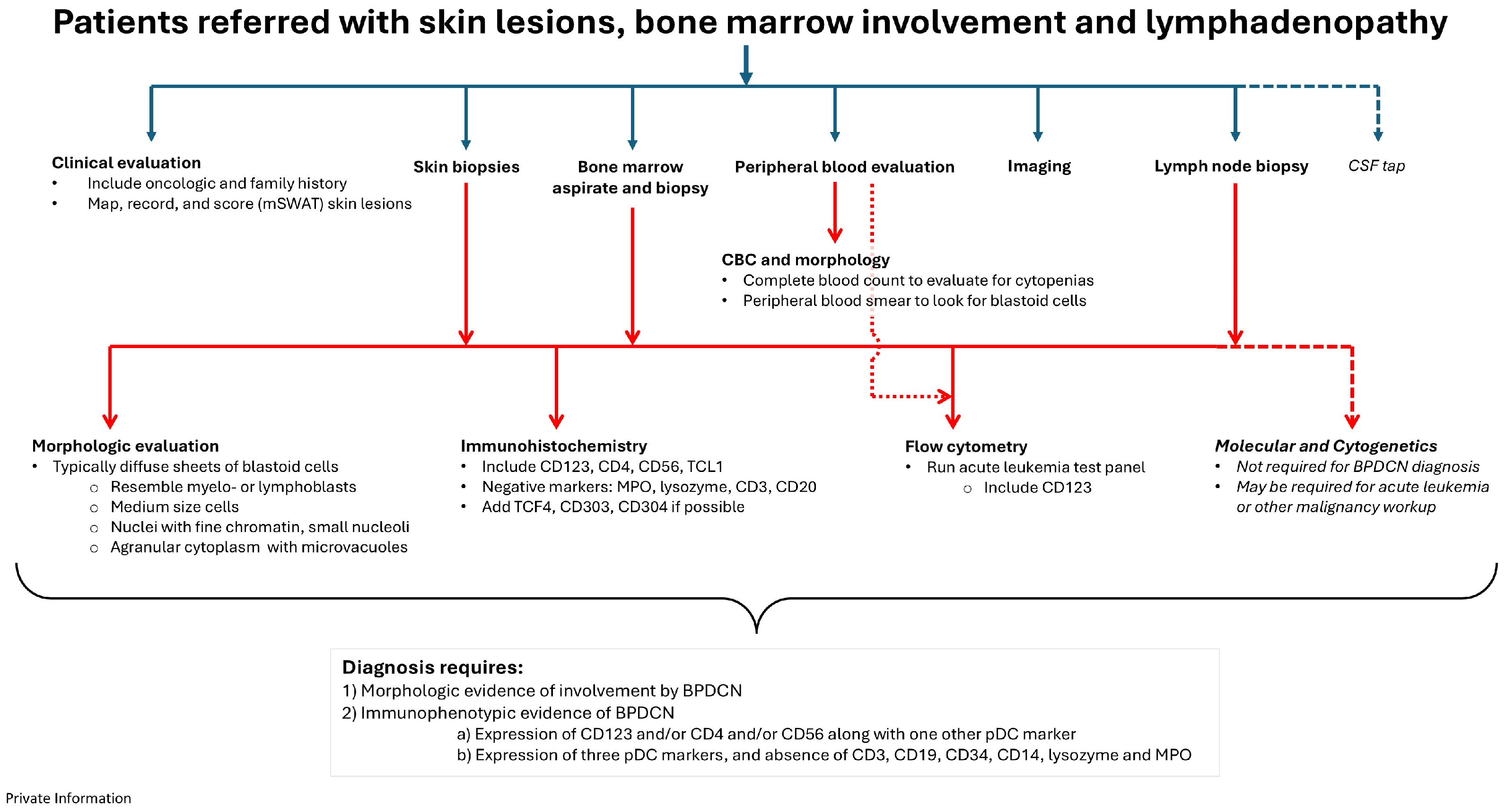 Cancers 17 00221 g004