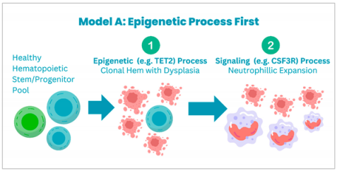 Cancers 17 00227 i001 Cancers 17 00227 i001