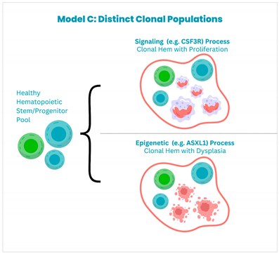 Cancers 17 00227 i003 Cancers 17 00227 i003