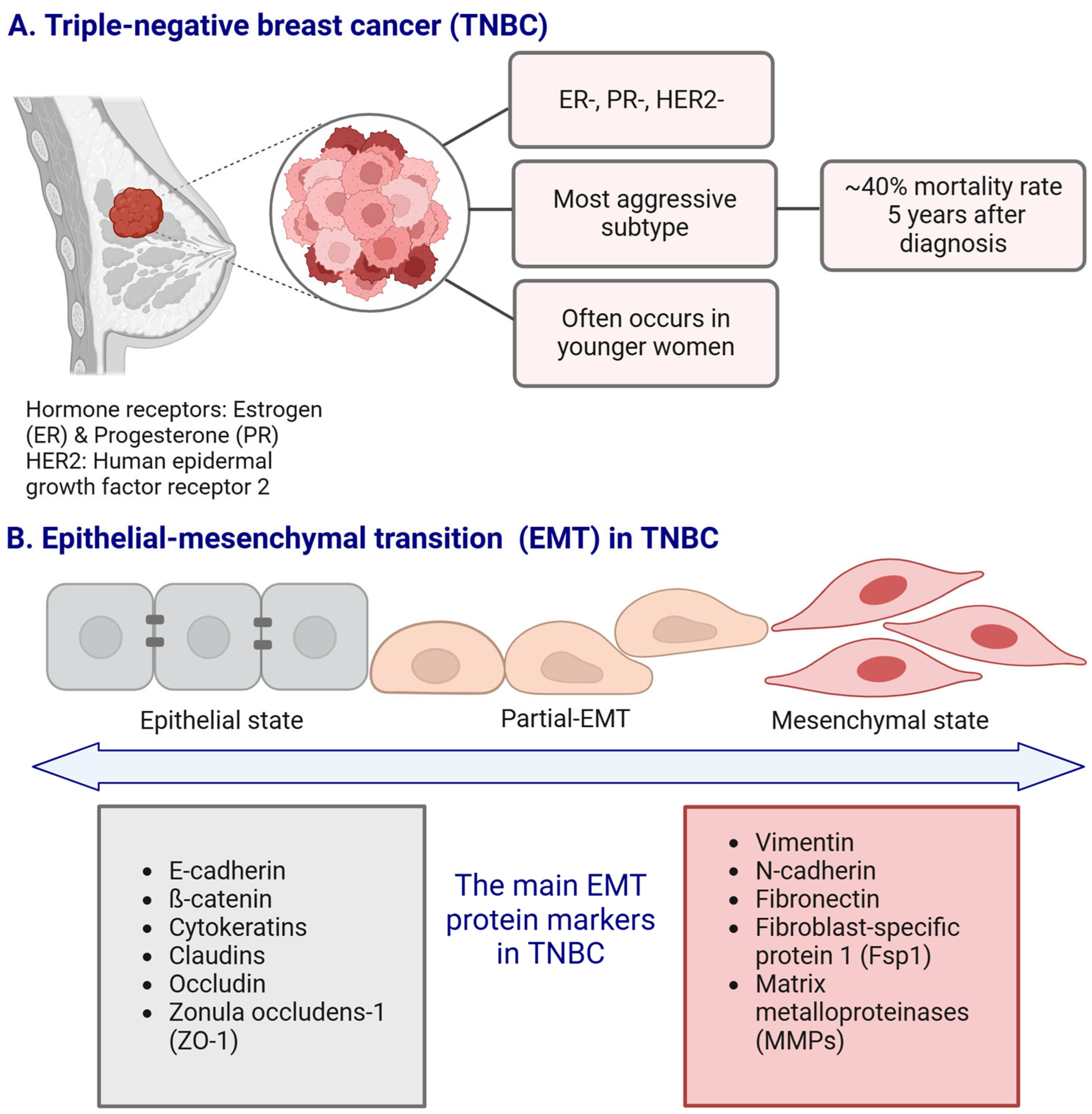 Cancers 17 00228 g001