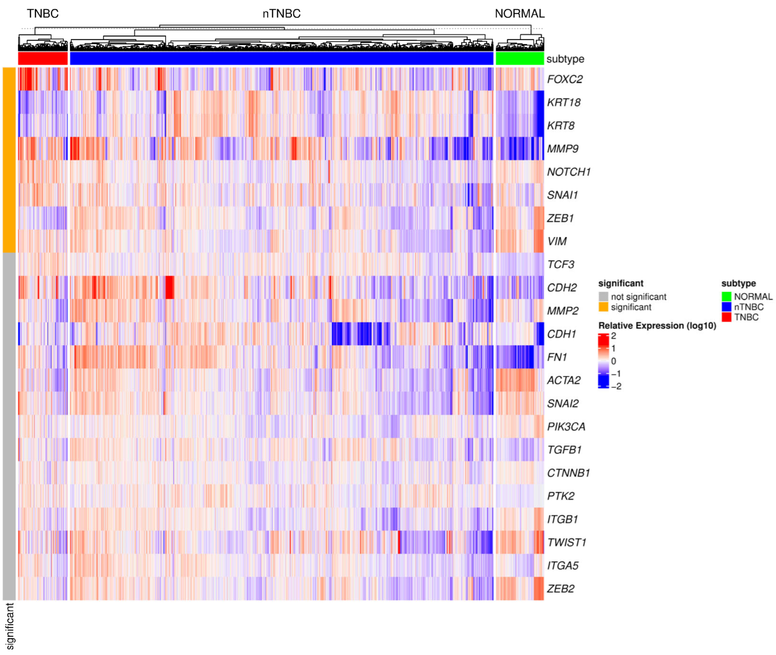 Cancers 17 00228 g003