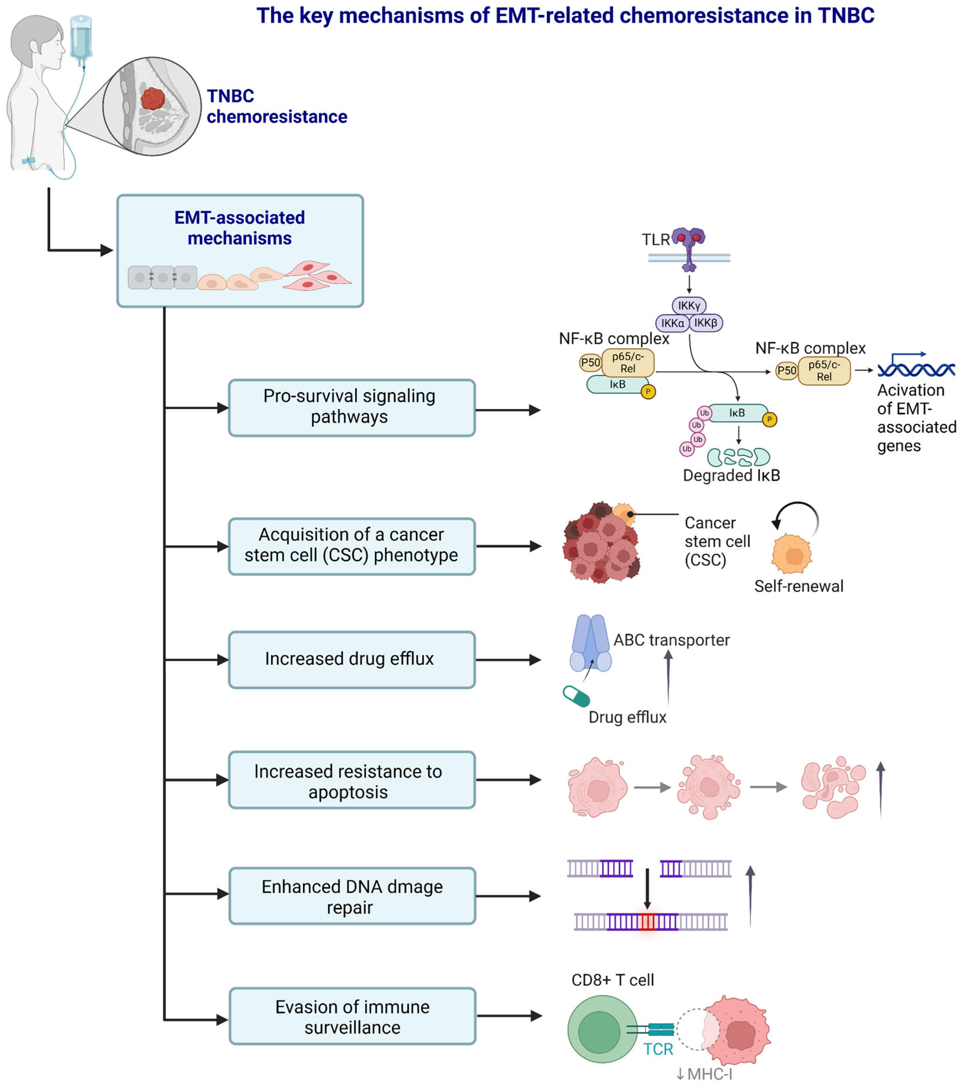 Cancers 17 00228 g004