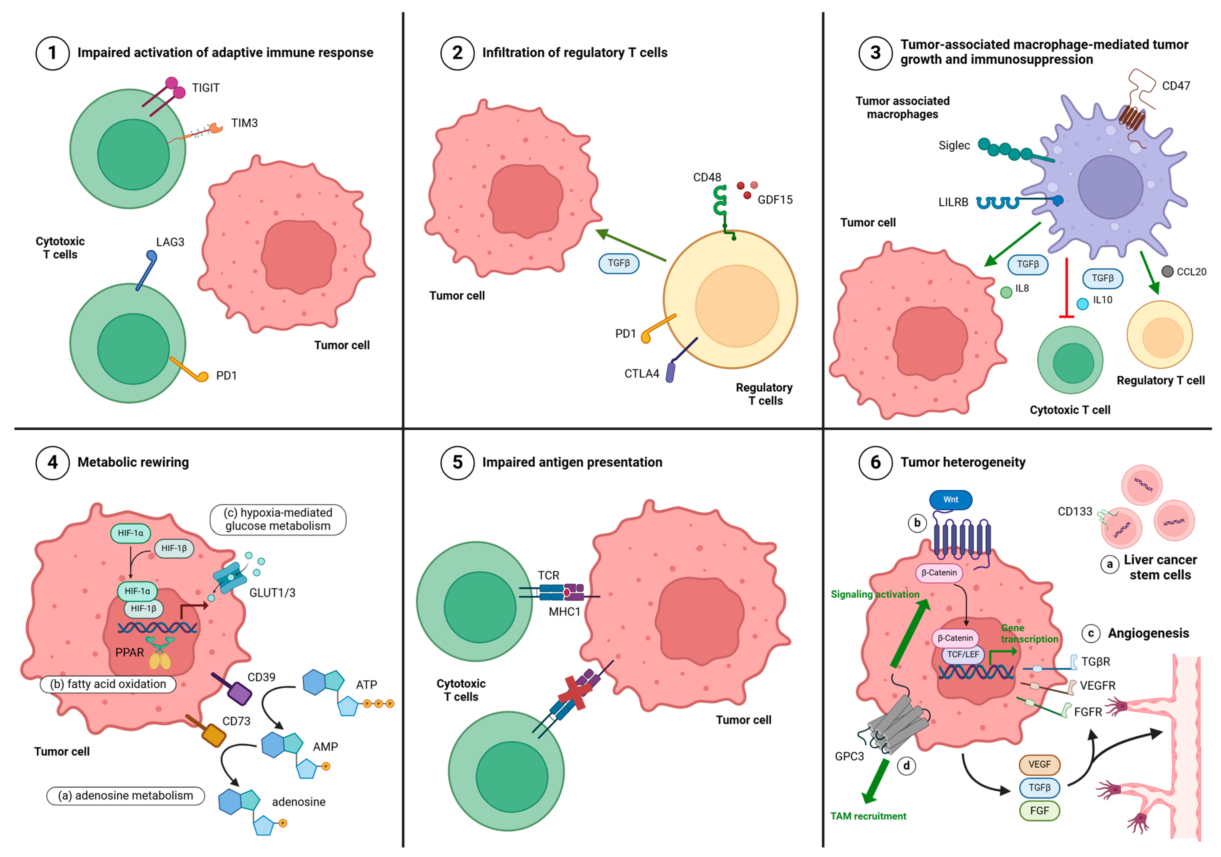 Cancers 17 00236 g001