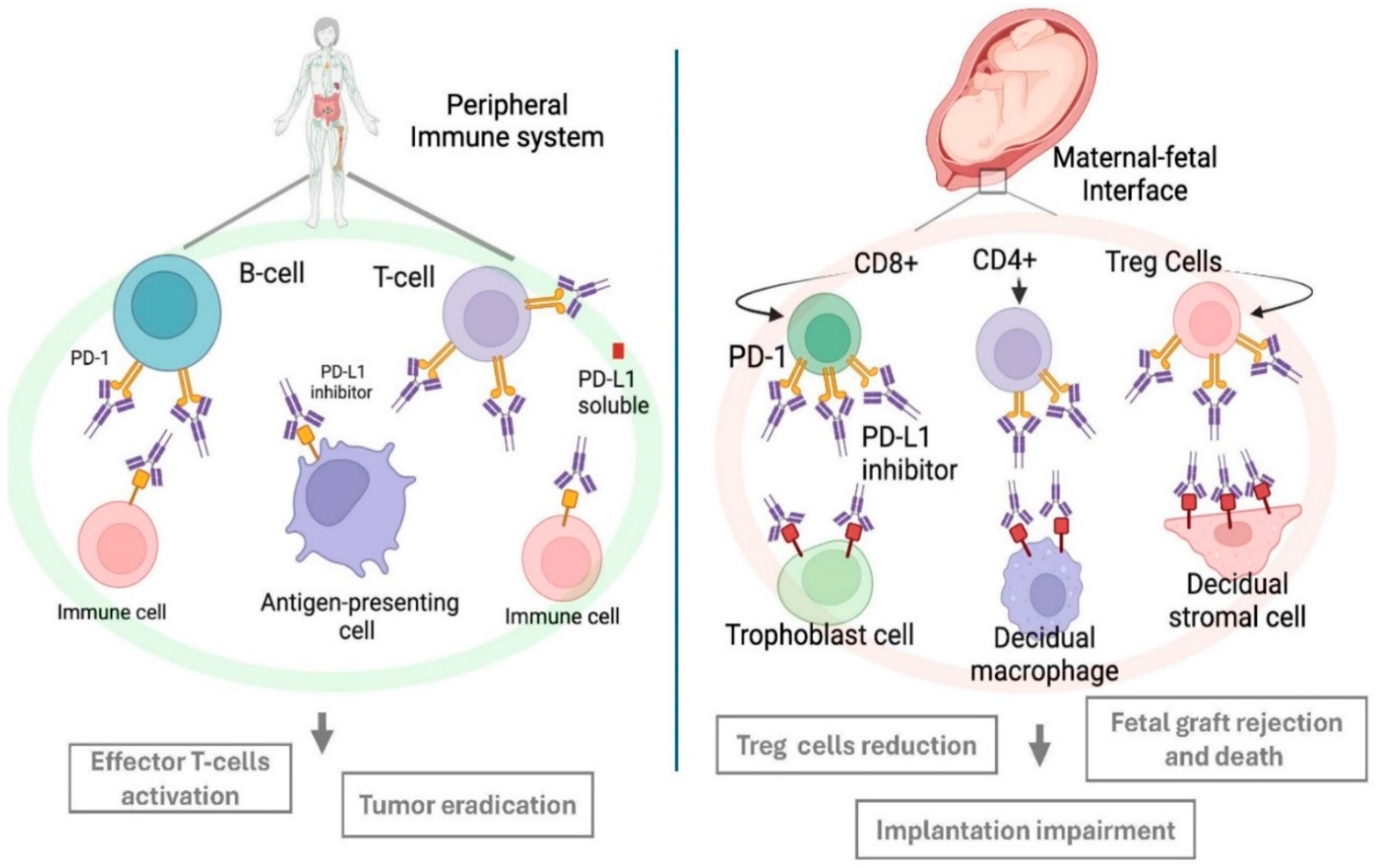 Cancers 17 00238 g002