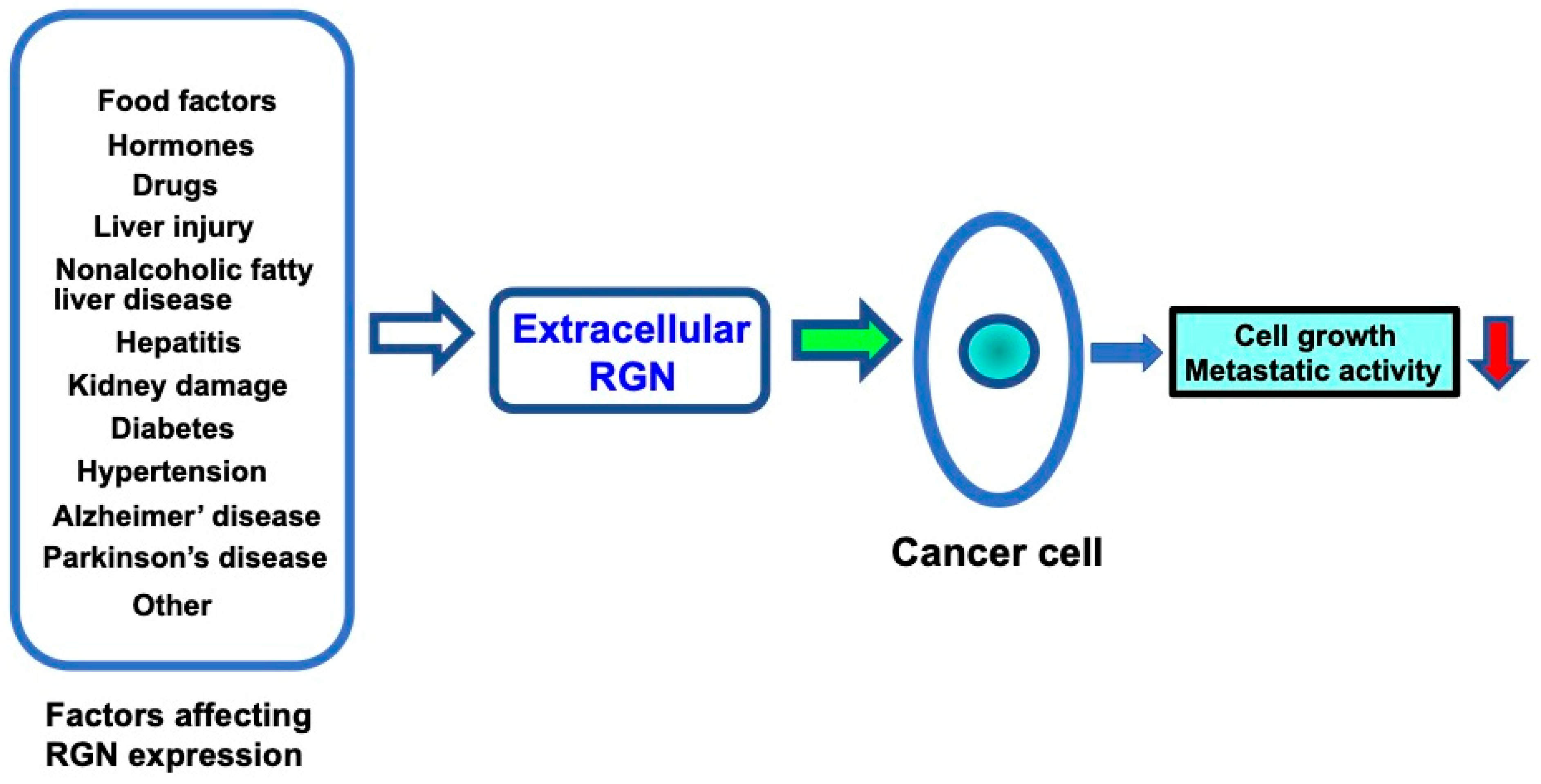 Cancers 17 00240 g002 Cancers 17 00240 g002