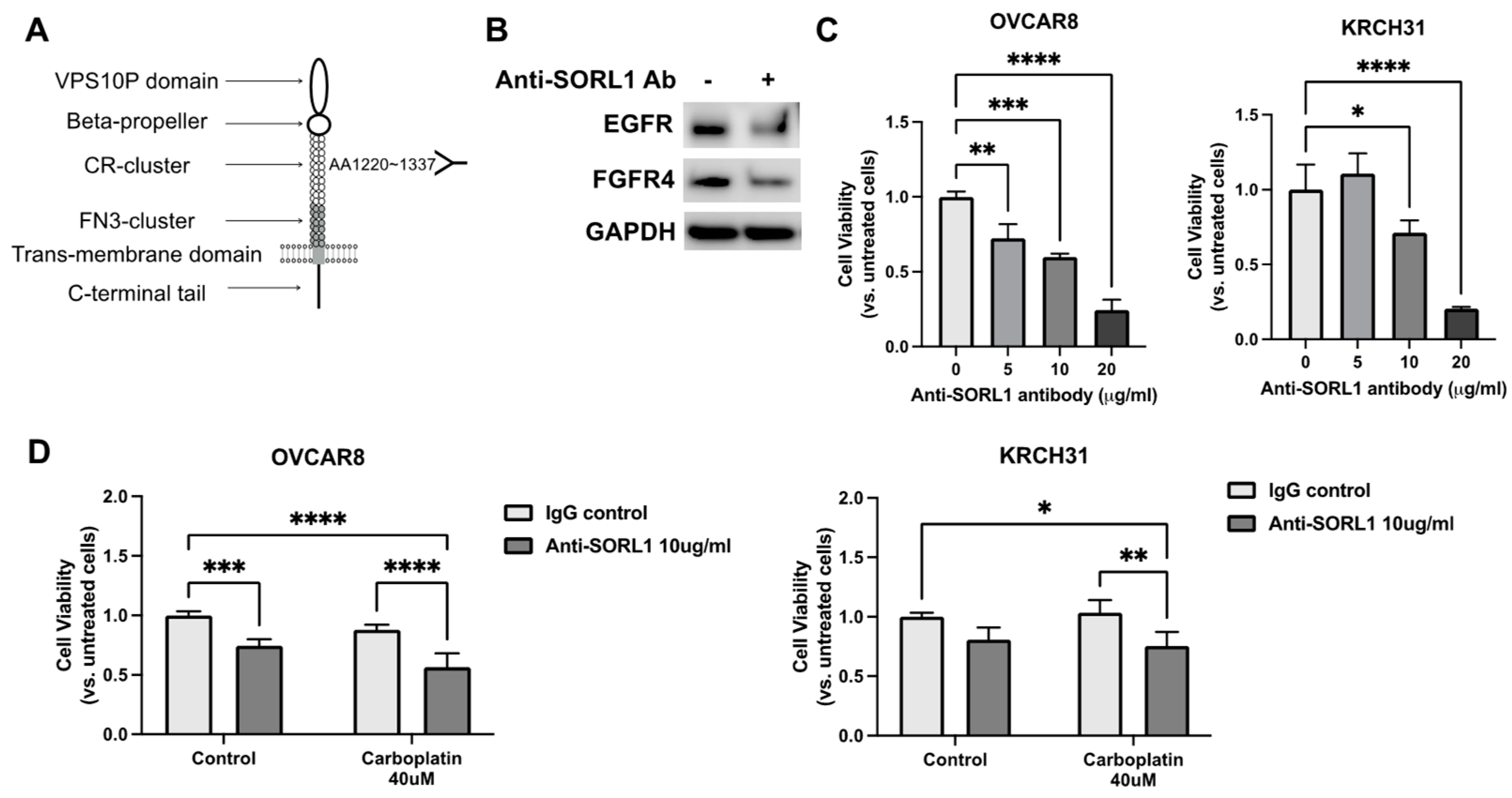 Cancers 17 00244 g004
