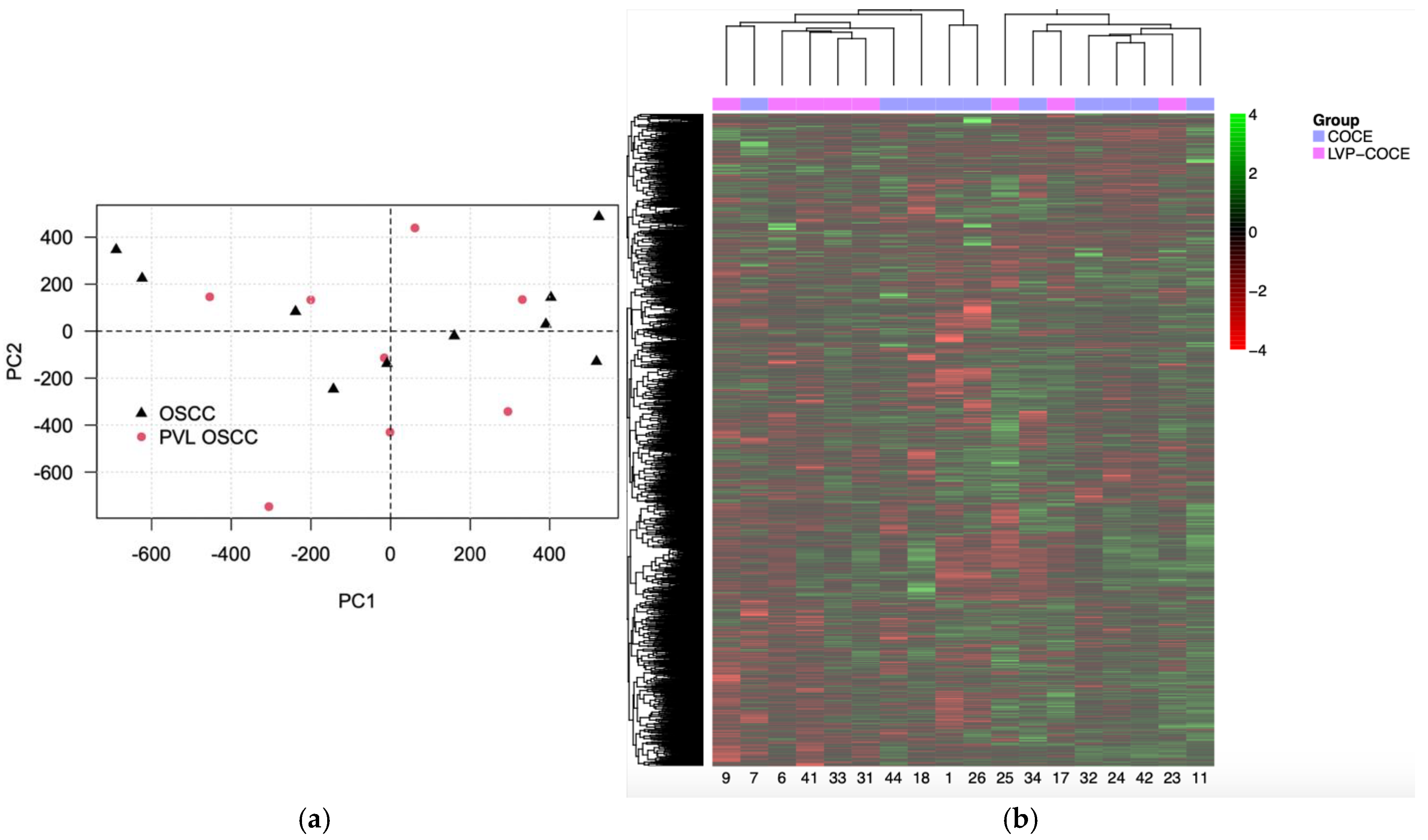 Cancers 17 00245 g001