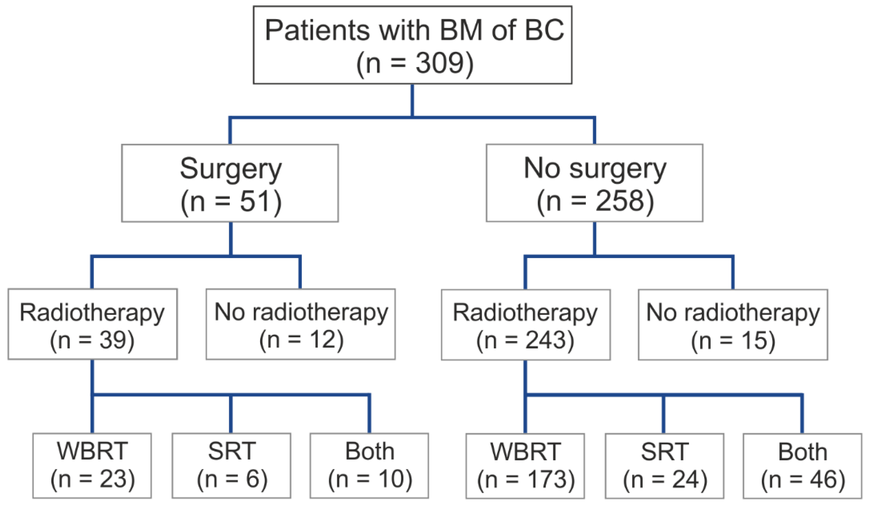 Cancers 17 00261 g005